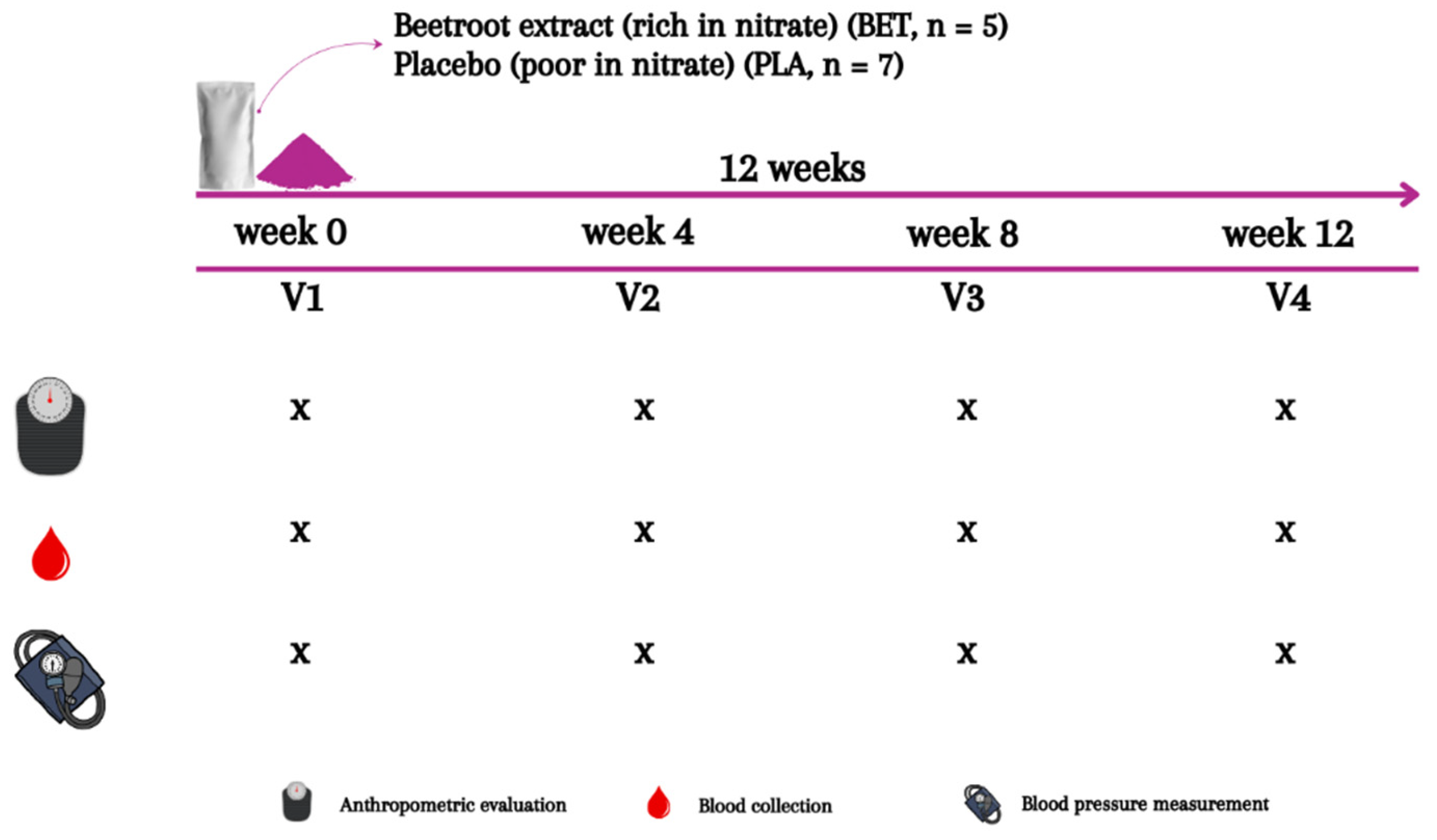 Nutrients 16 01942 g002 Nutrients 16 01942 g002