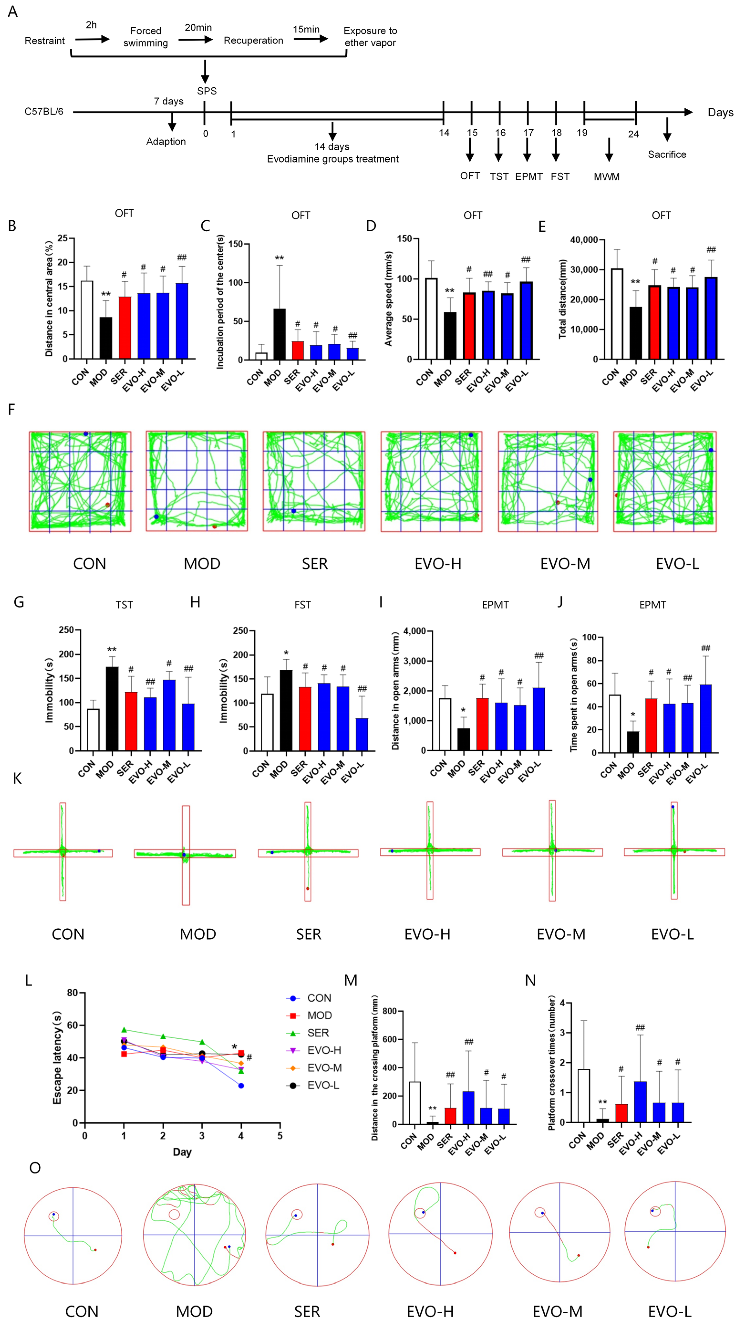 Nutrients 16 01957 g001