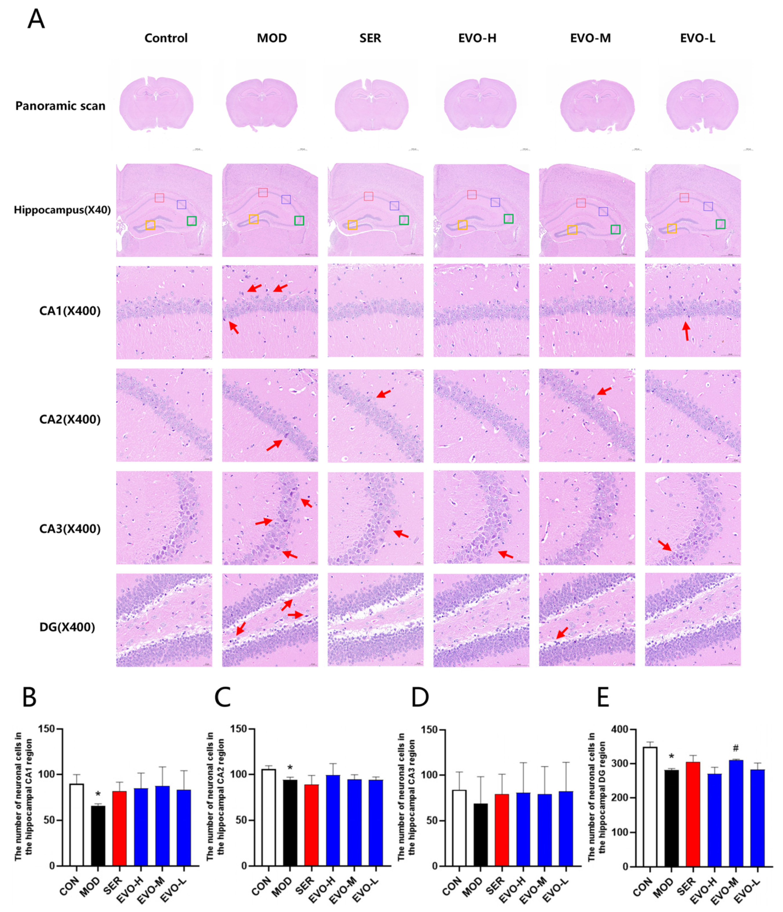 Nutrients 16 01957 g002