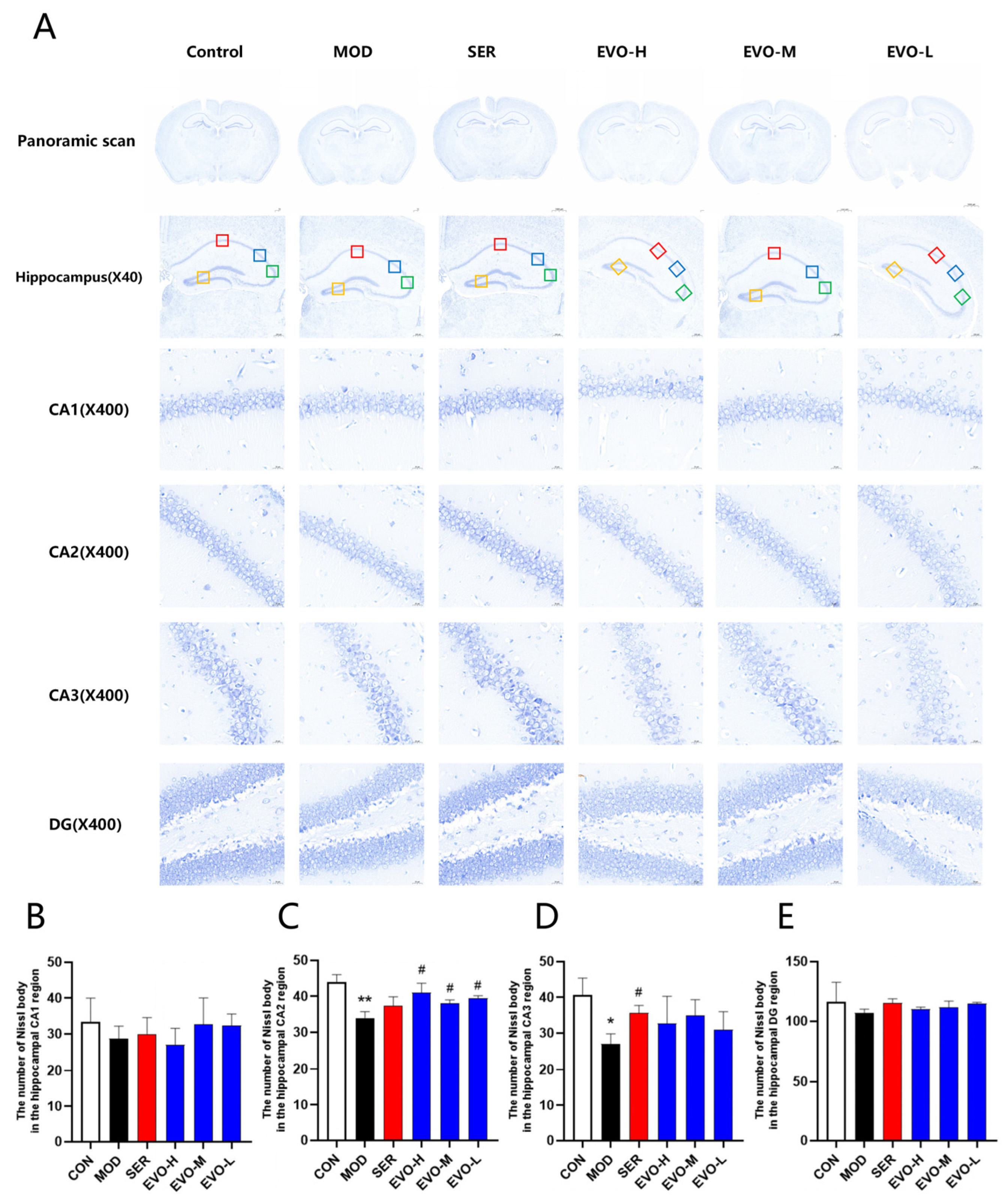 Nutrients 16 01957 g003