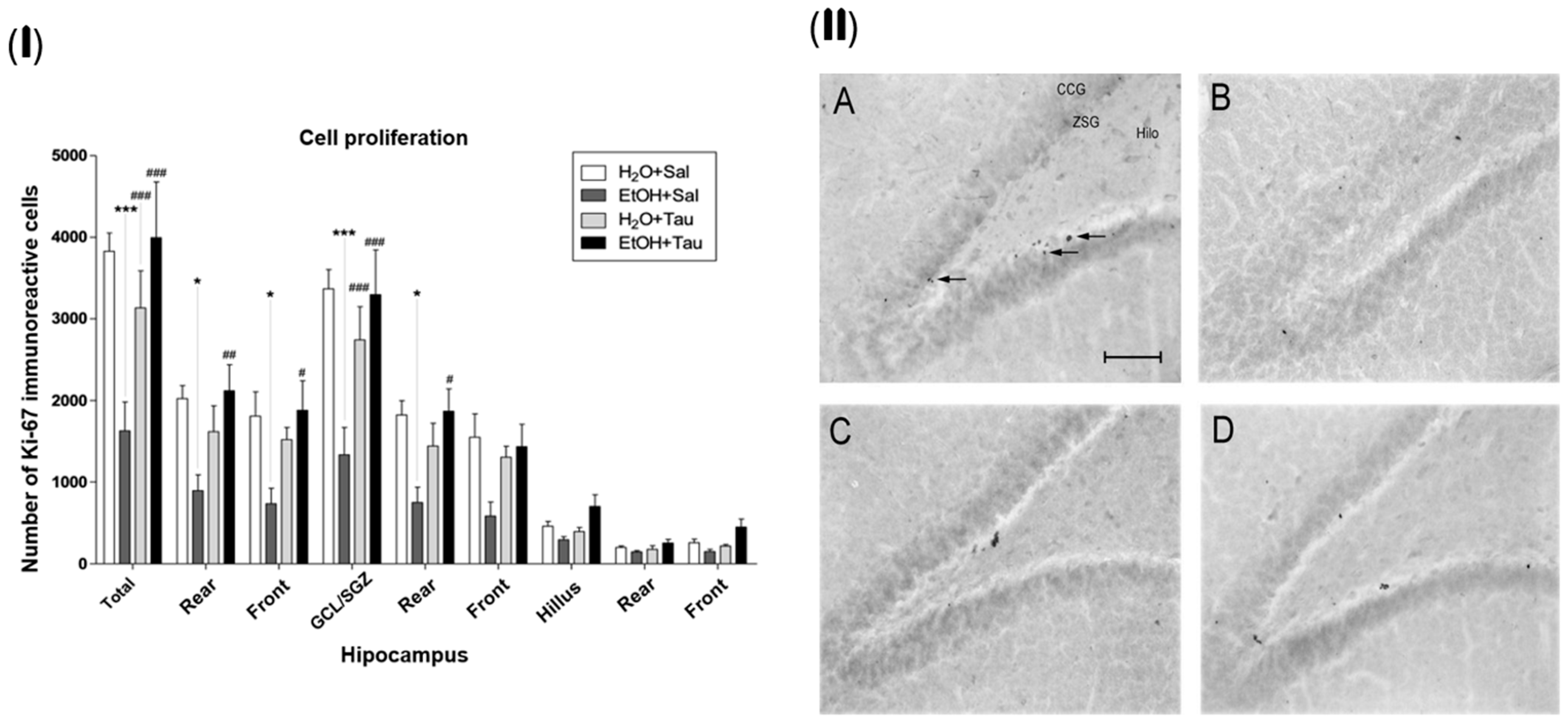 Nutrients 16 01973 g005