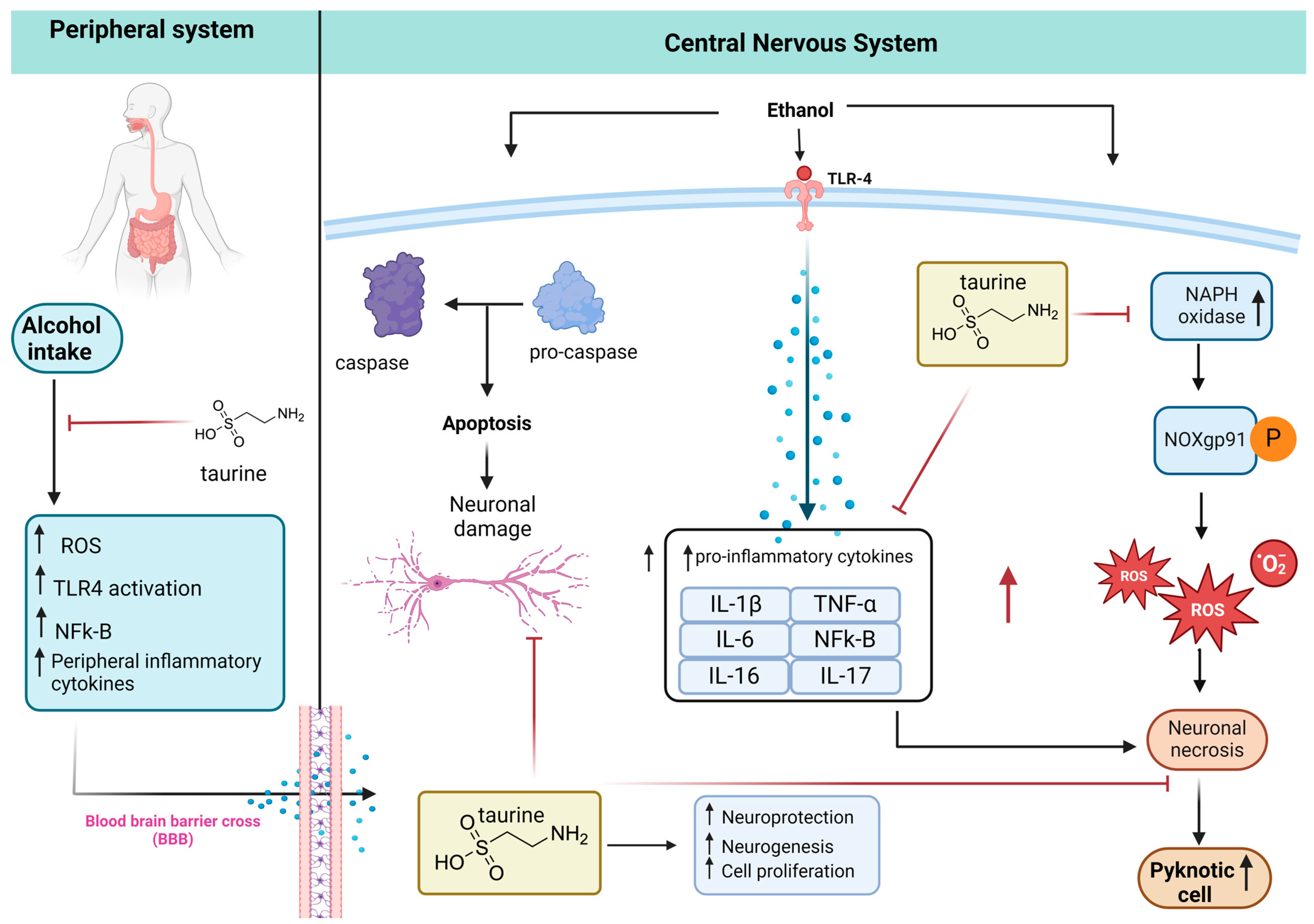 Nutrients 16 01973 g009