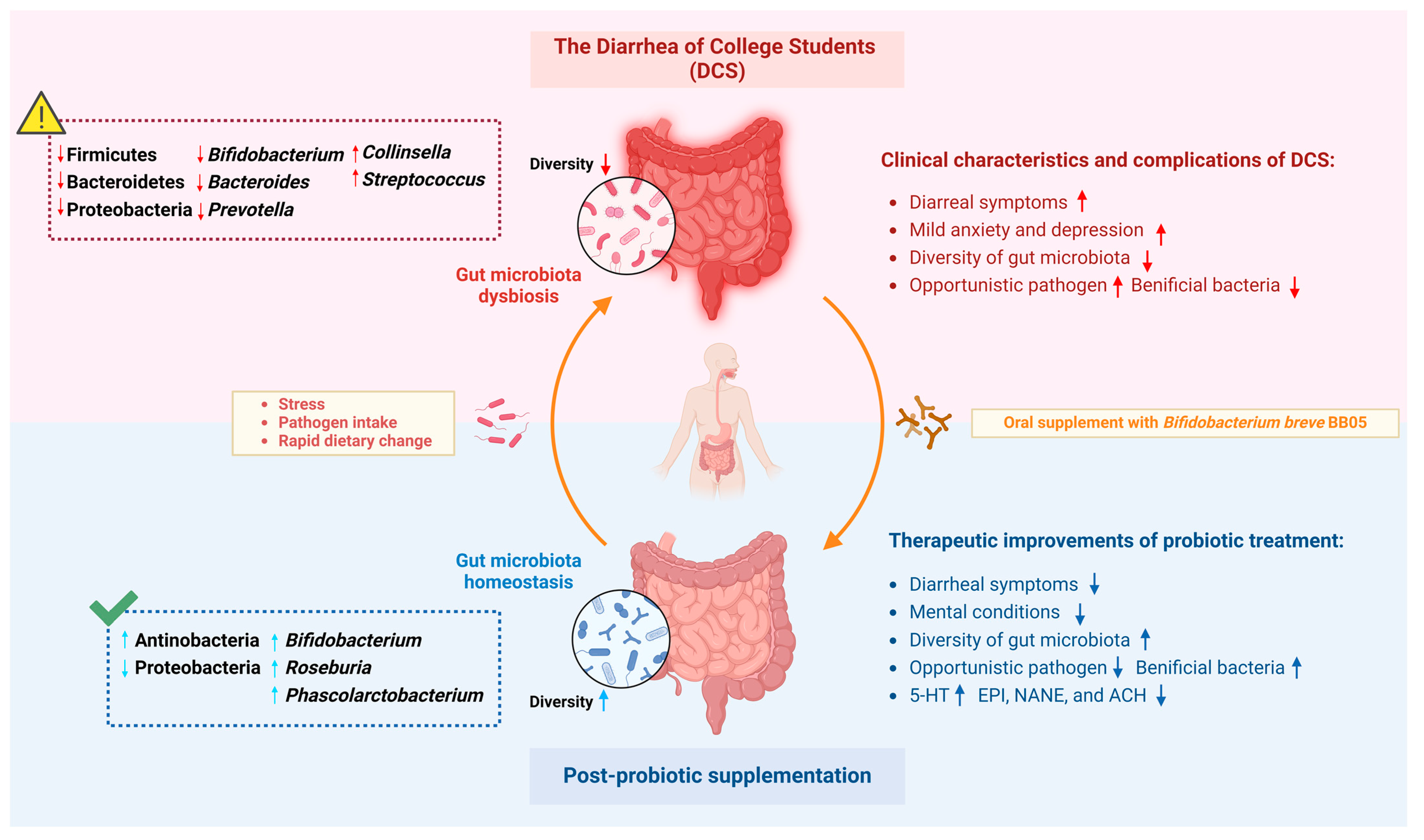Nutrients 16 01989 g010