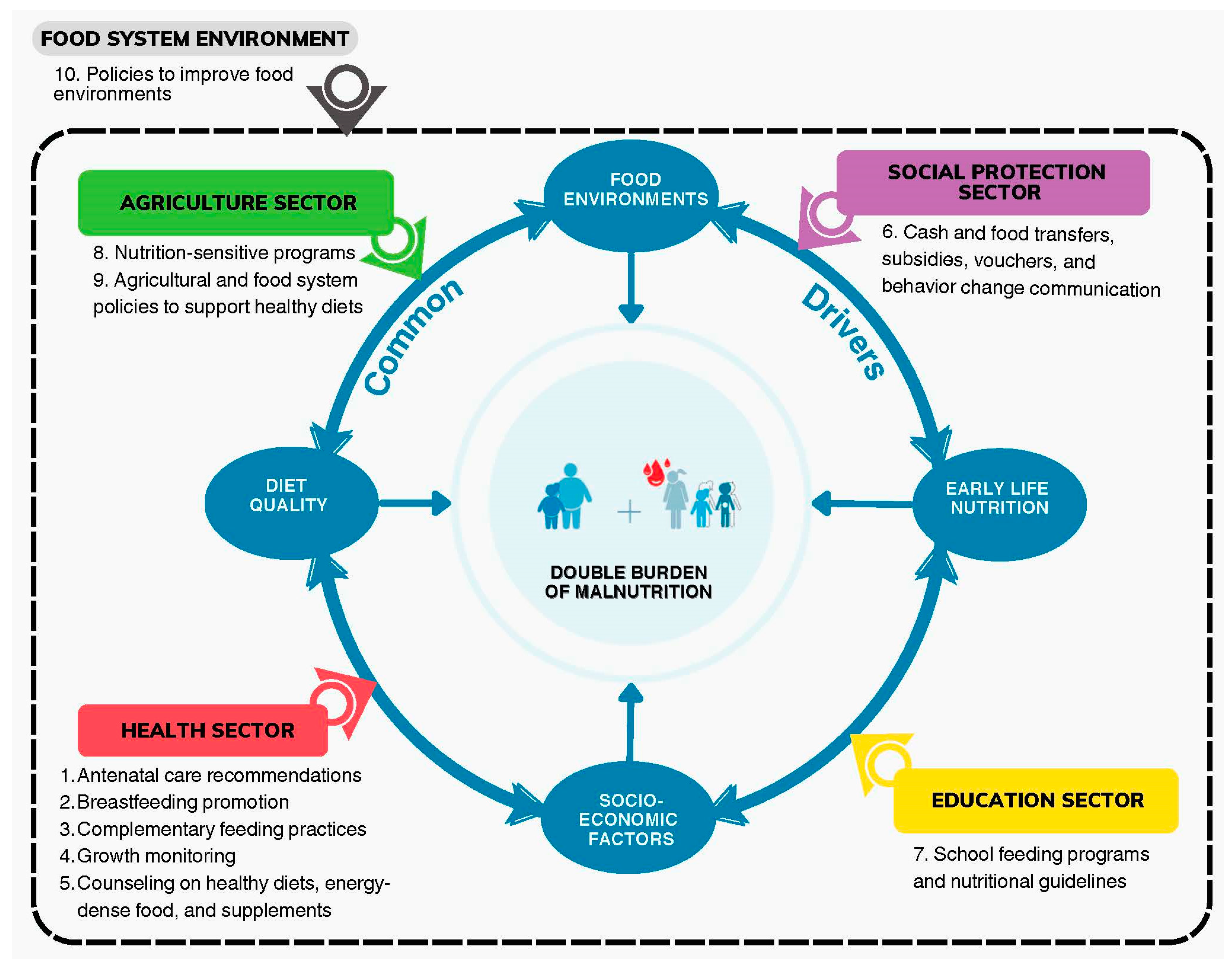 Nutrients 16 01998 g001