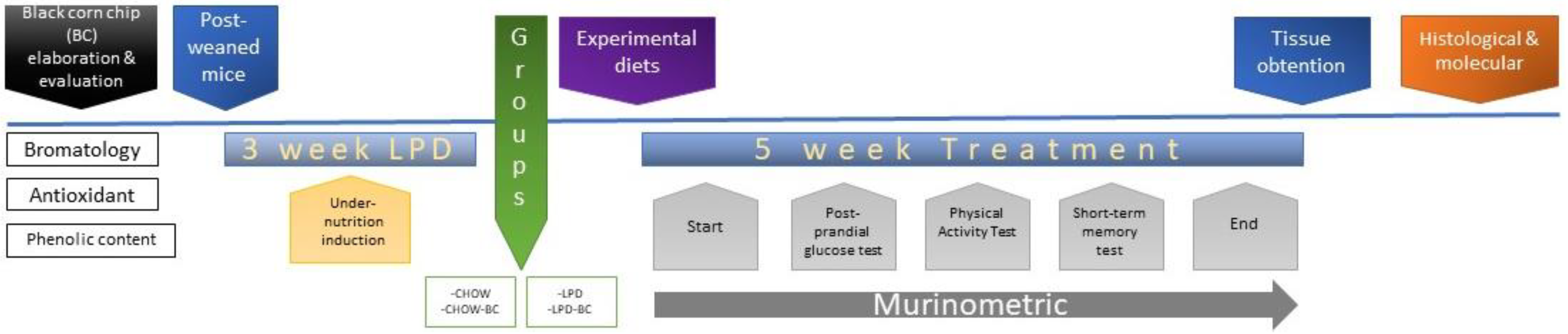 Nutrients 16 02001 g001