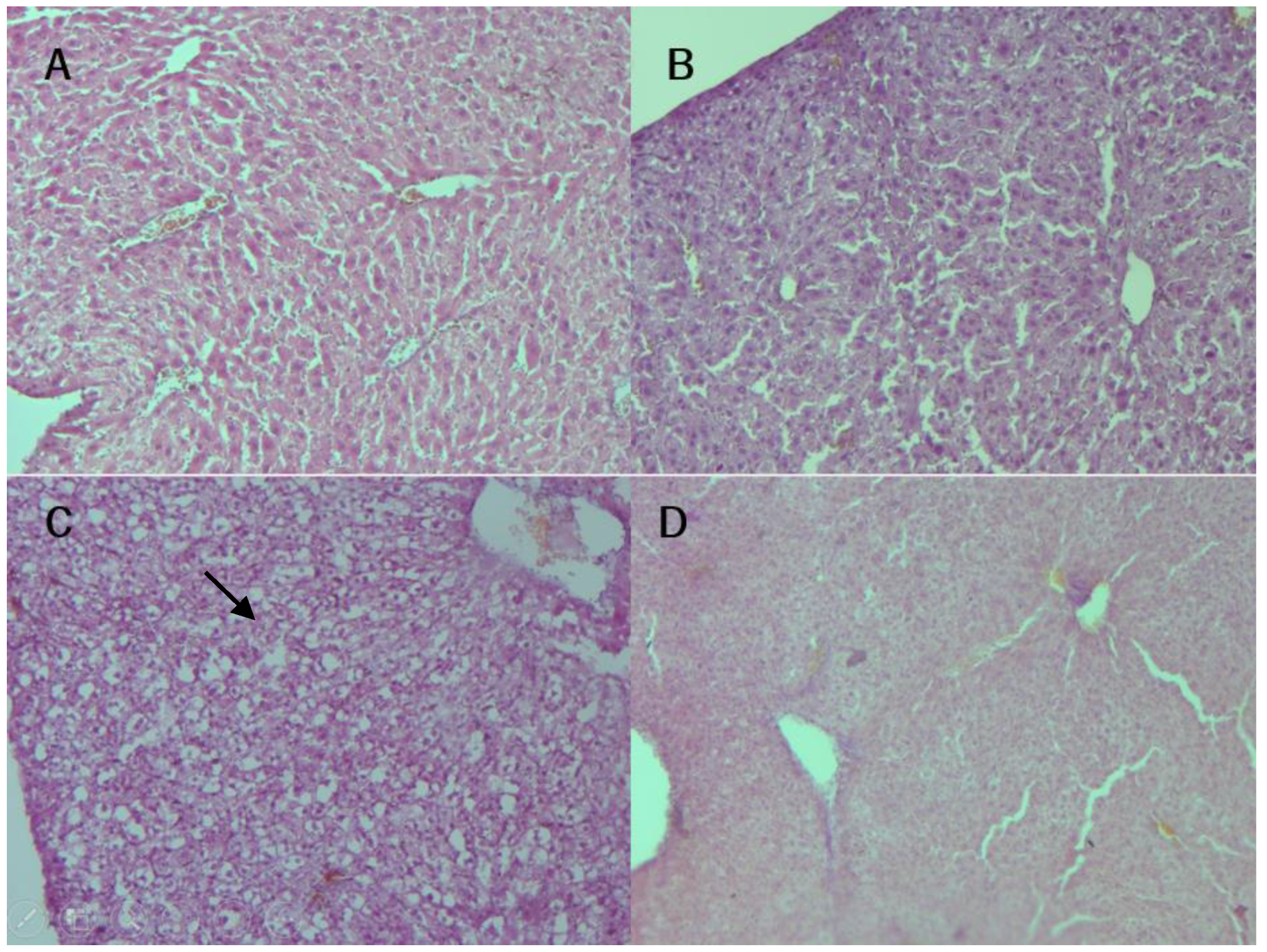 Nutrients 16 02001 g008a