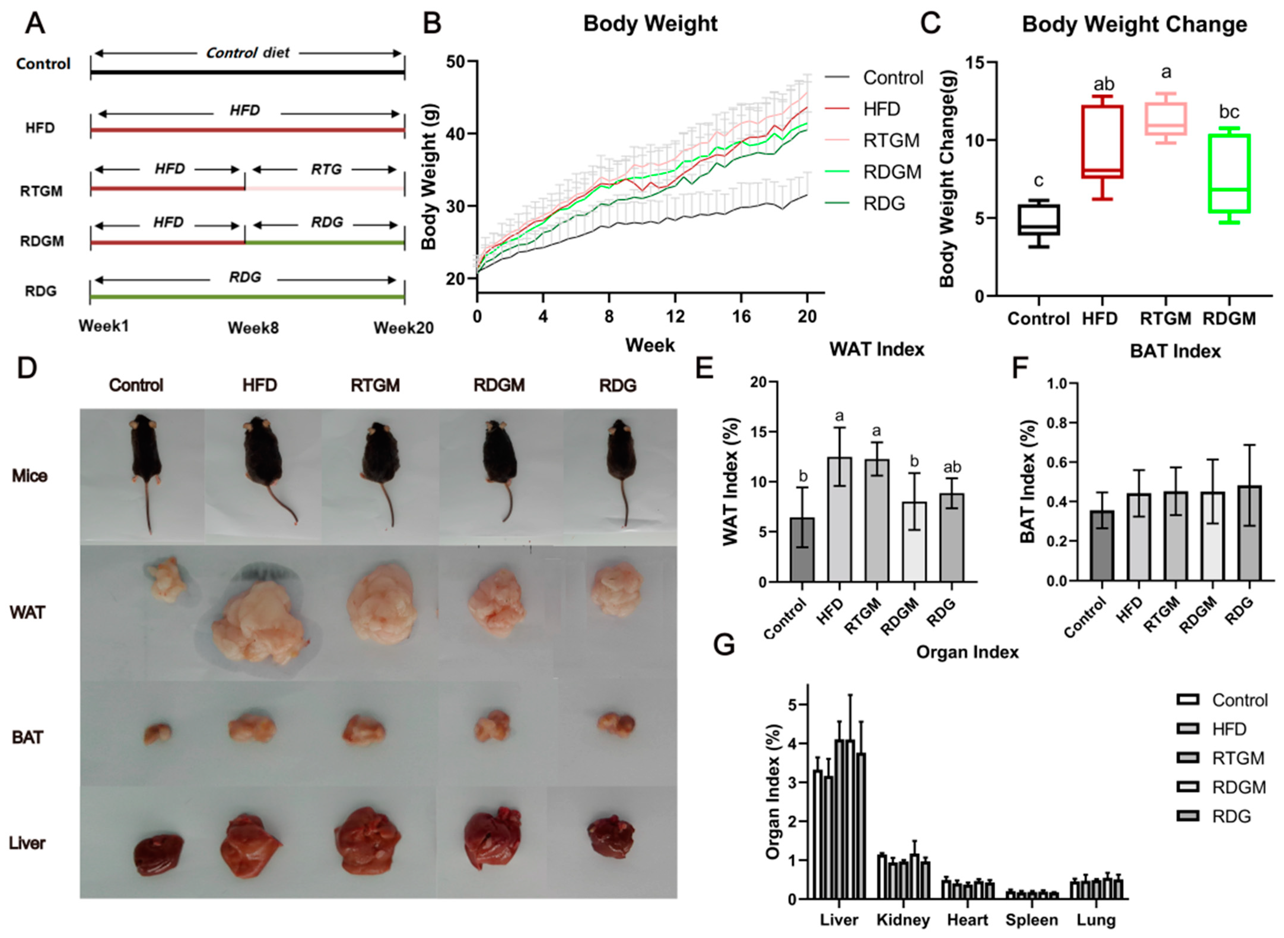Nutrients 16 02003 g001 Nutrients 16 02003 g001