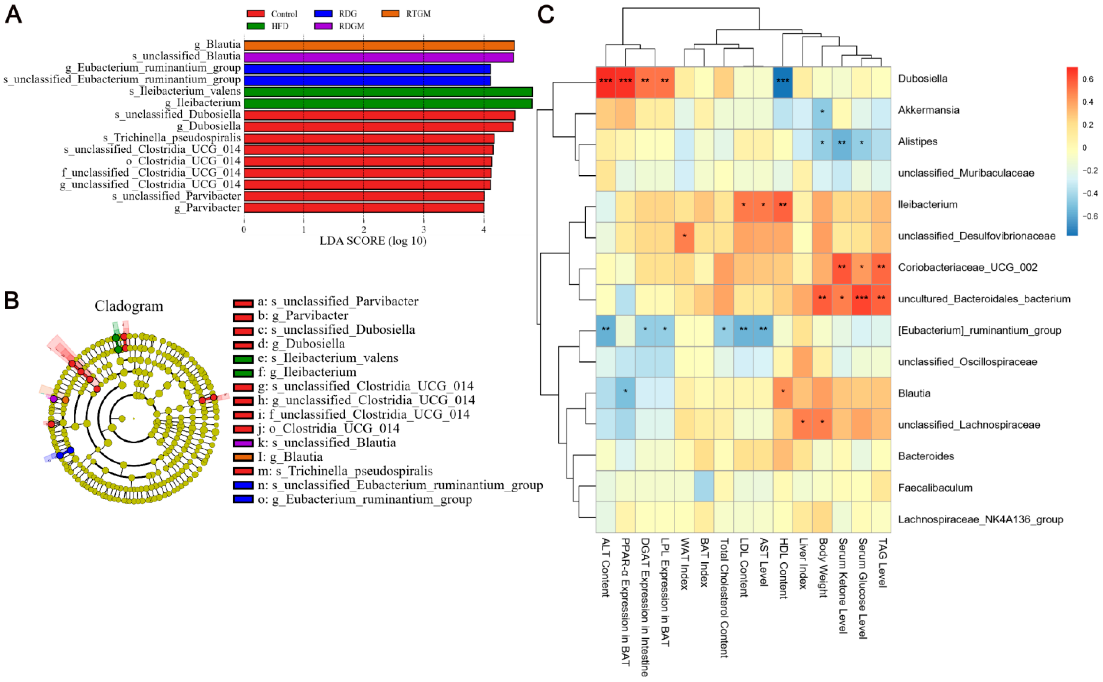 Nutrients 16 02003 g007 Nutrients 16 02003 g007