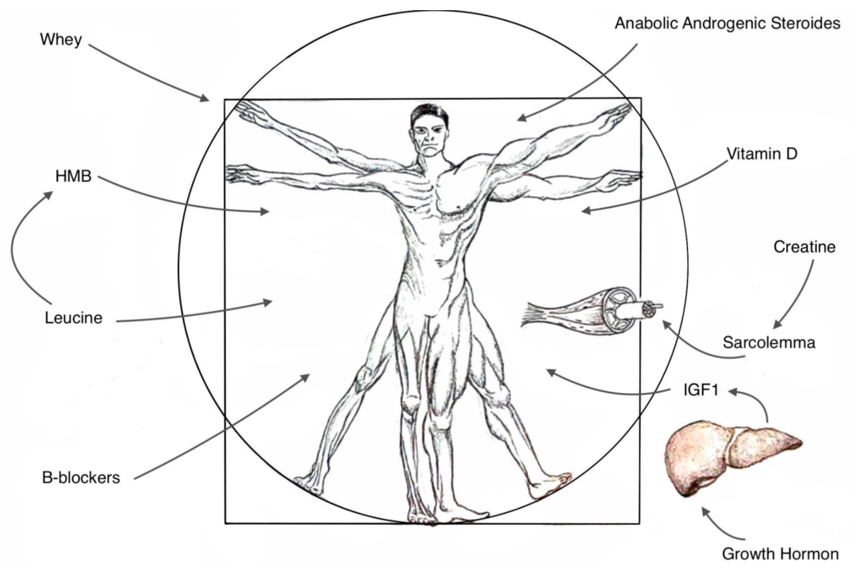 Nutrients 16 02011 g001
