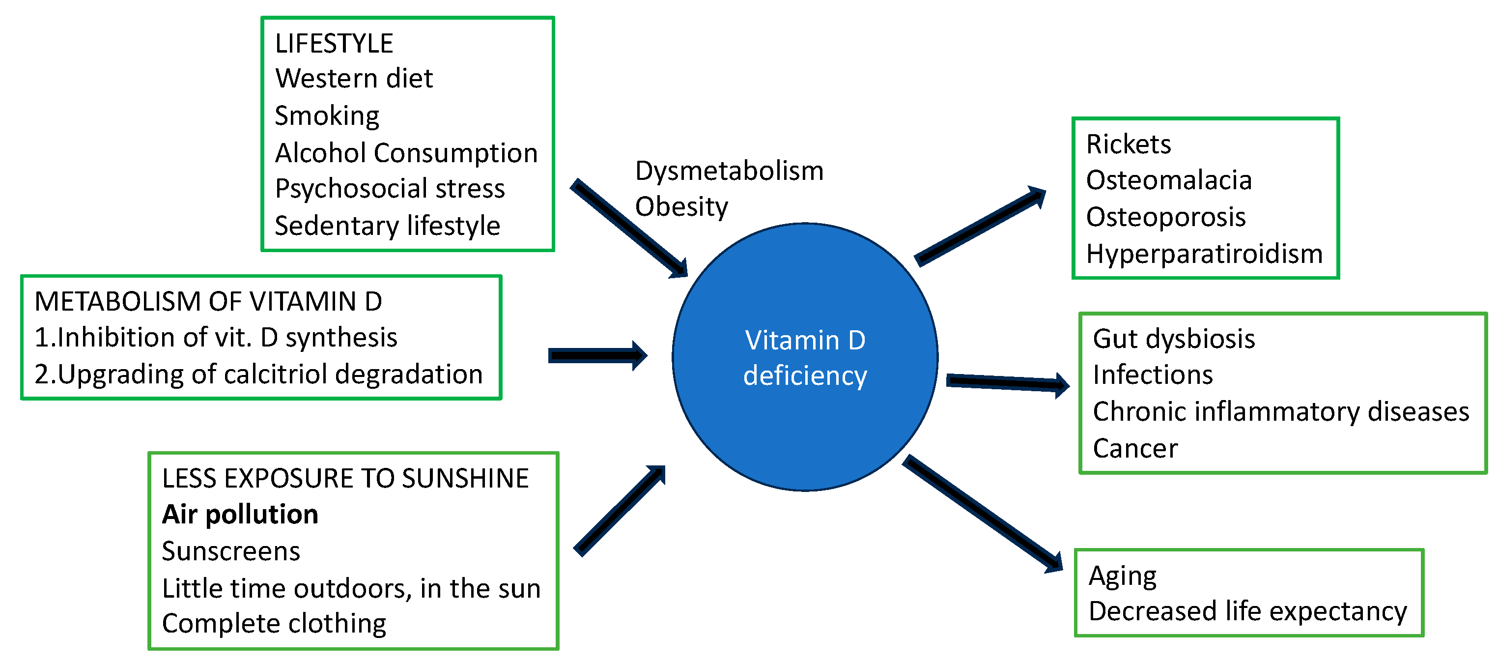 Nutrients 16 02015 g002