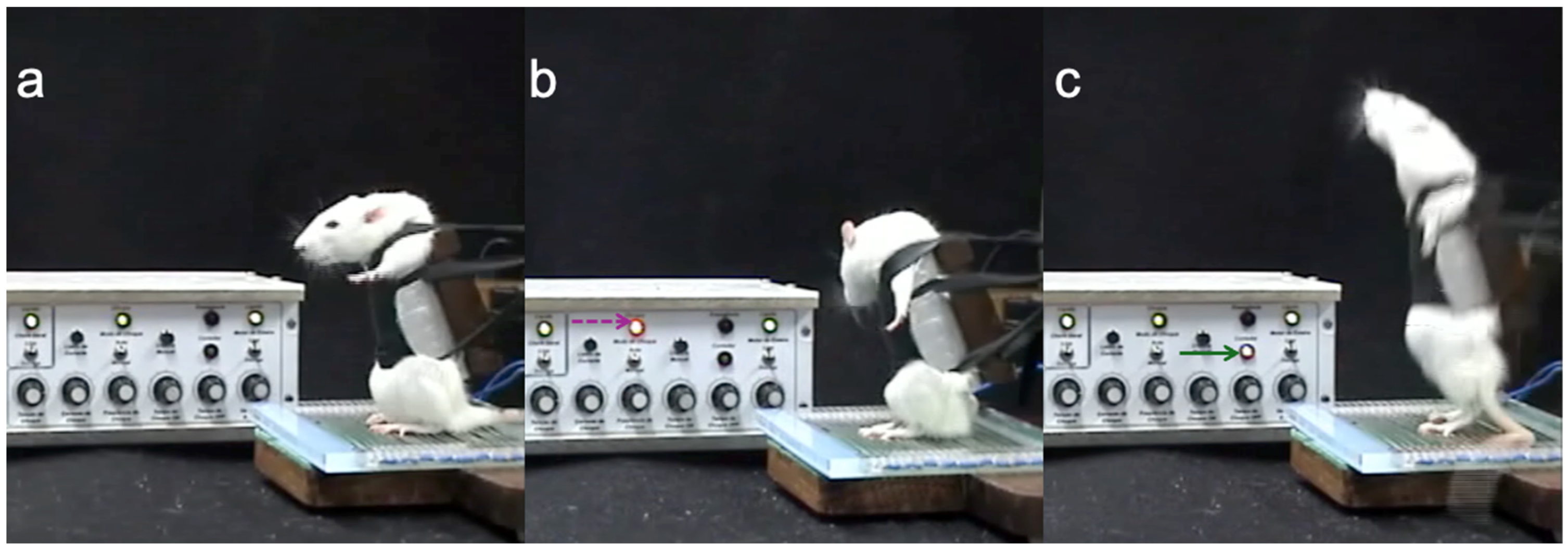 Nutrients 16 02022 g001