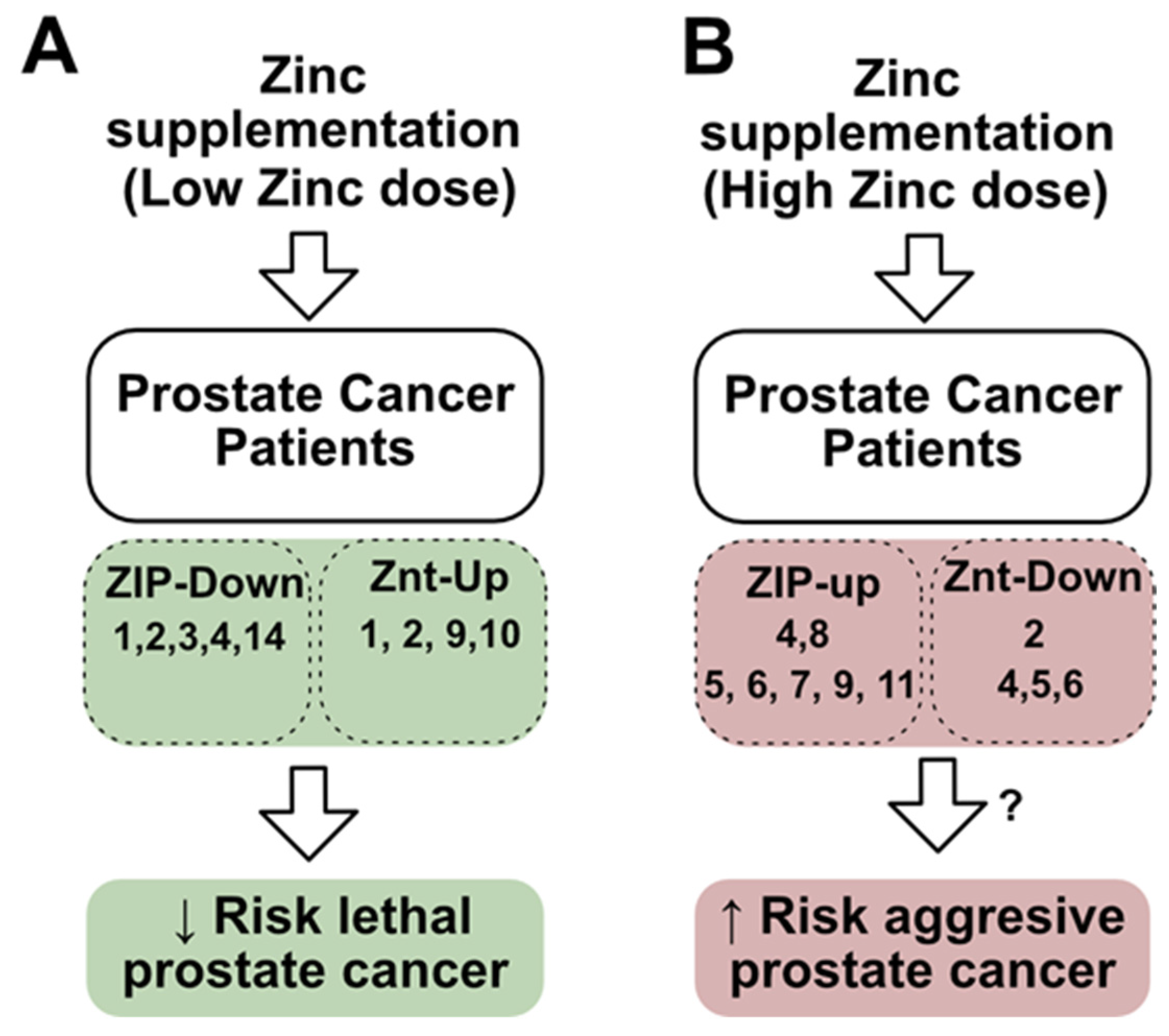Nutrients 16 02026 g005 Nutrients 16 02026 g005
