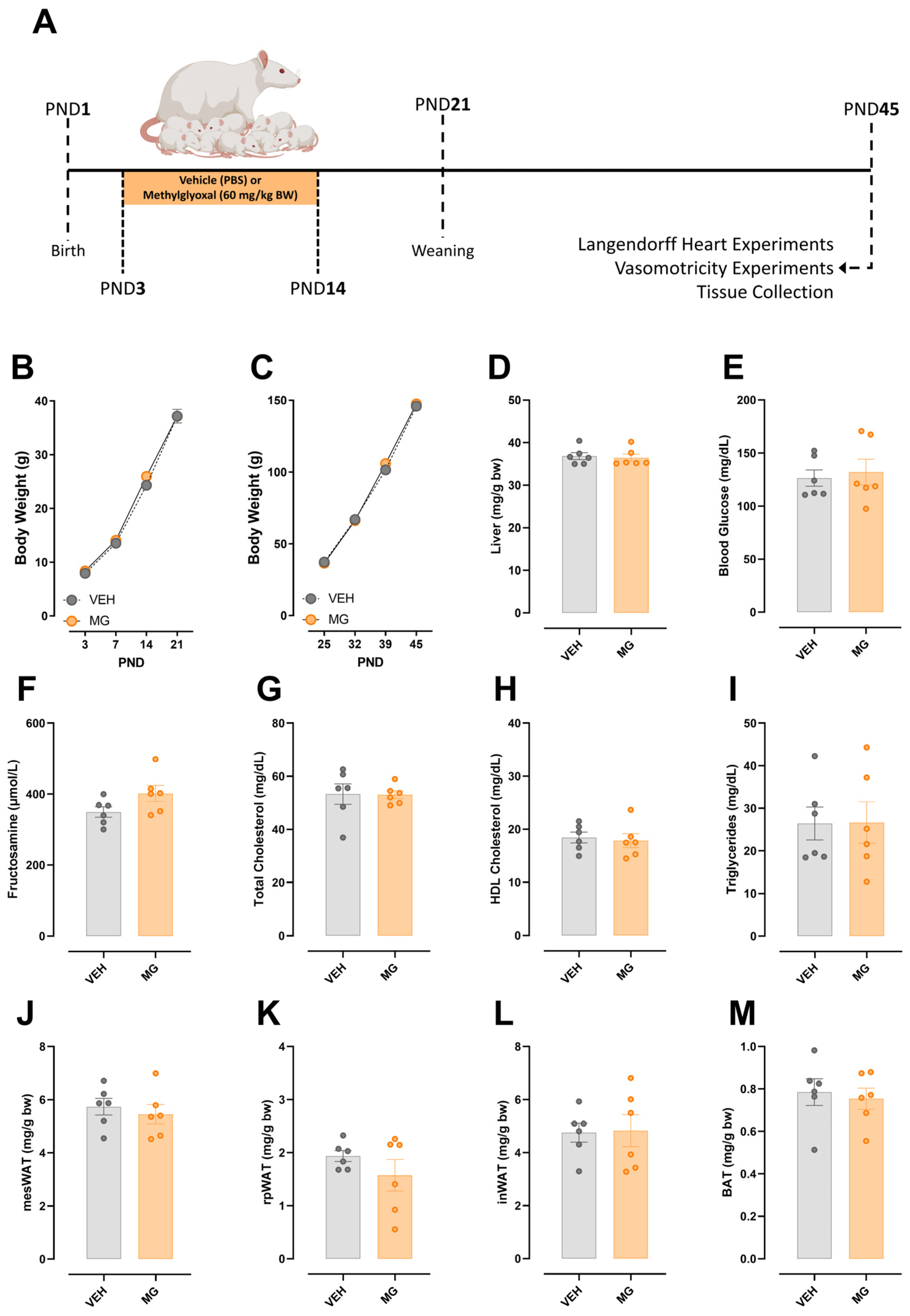 Nutrients 16 02029 g001