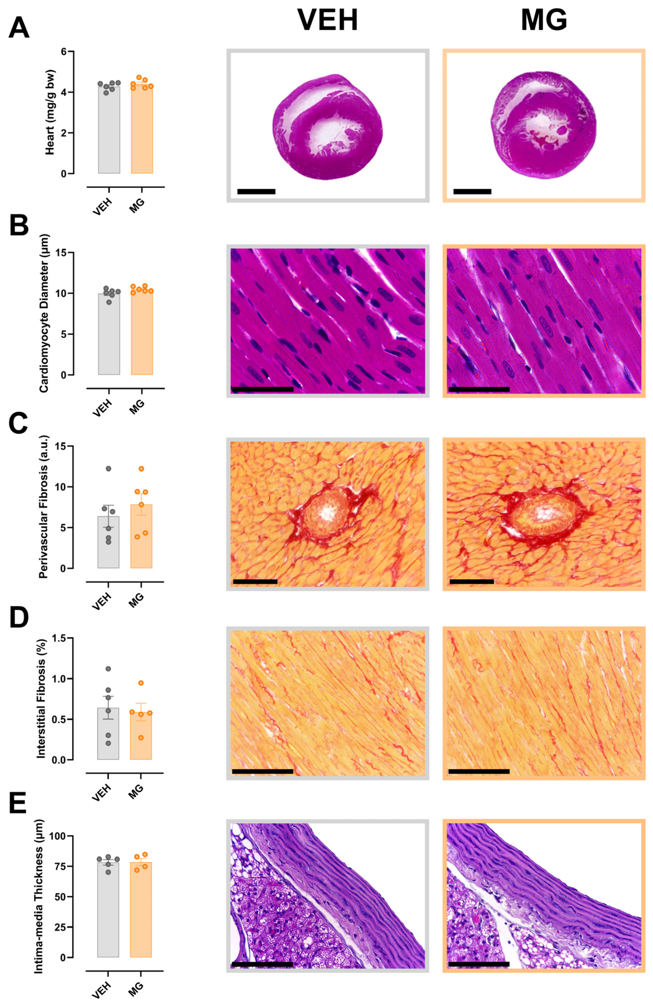 Nutrients 16 02029 g004