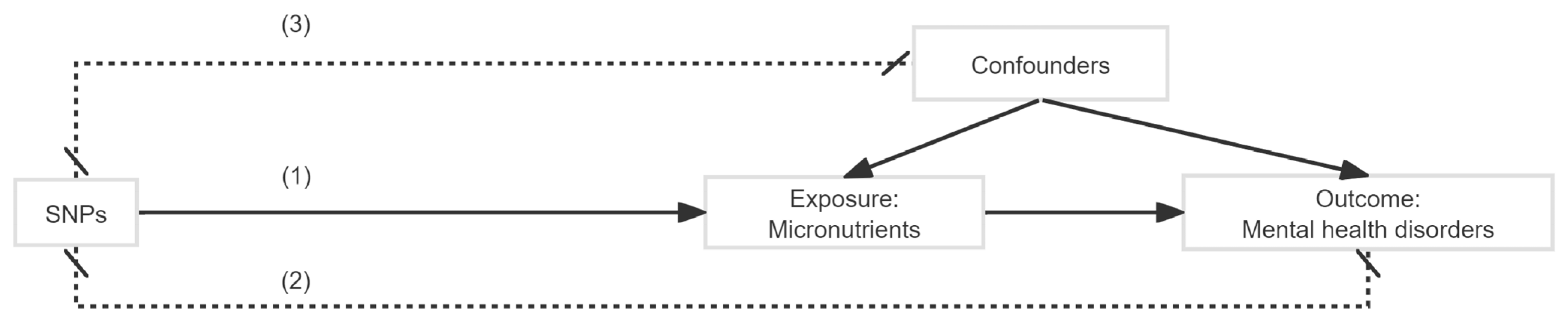 Nutrients 16 02042 g002 Nutrients 16 02042 g002