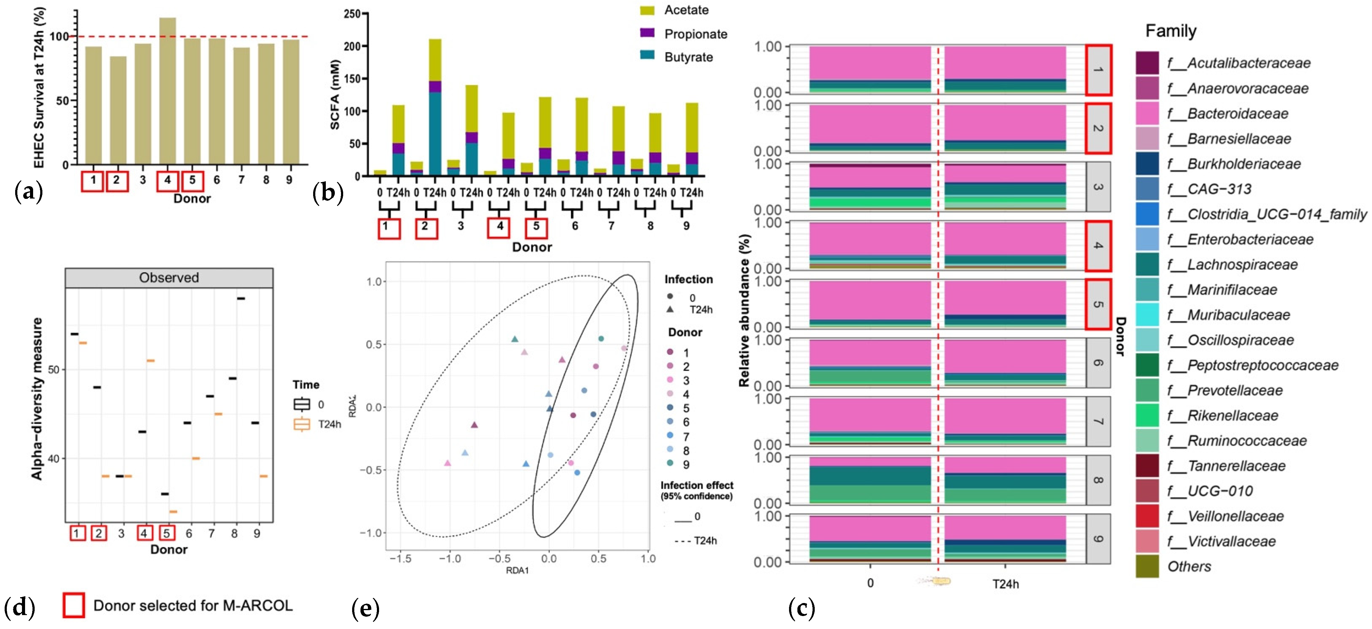 Nutrients 16 02046 g002