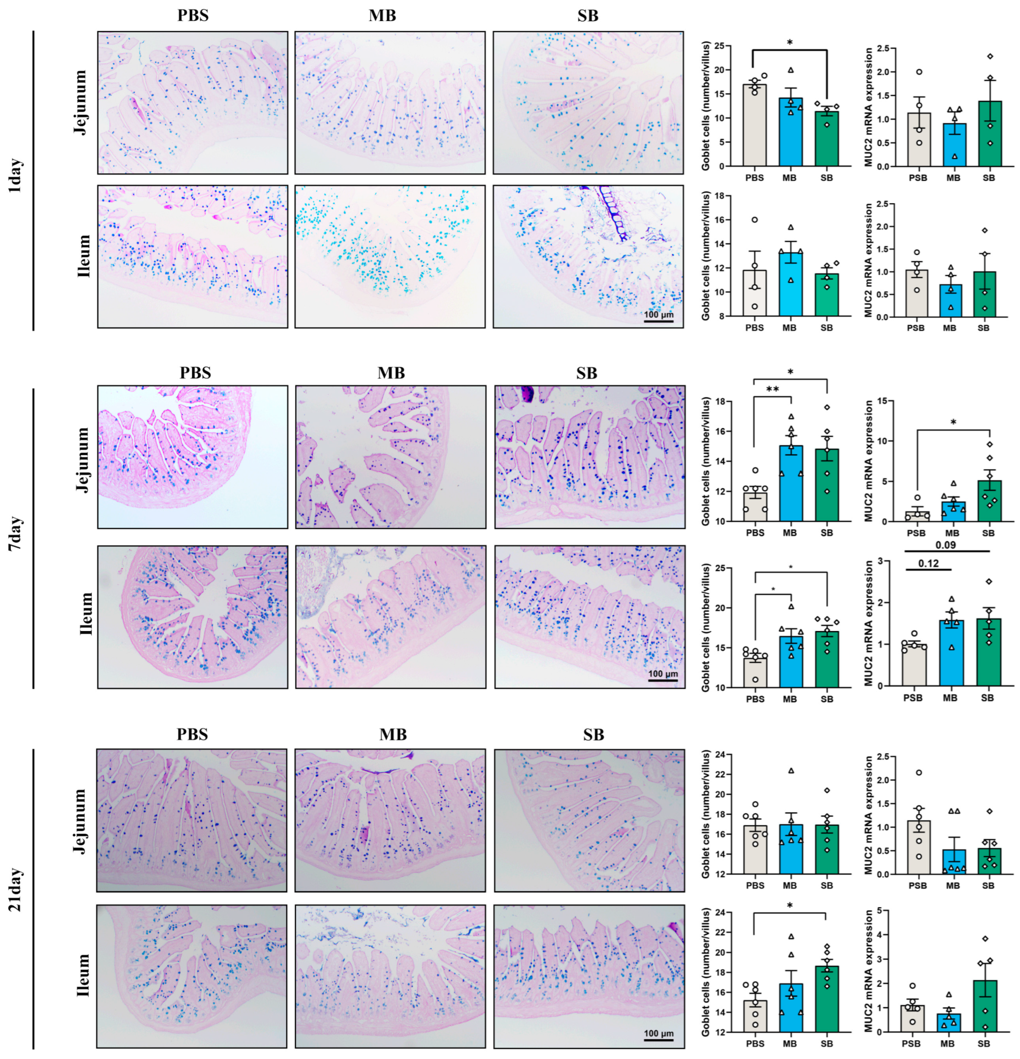 Nutrients 16 02052 g001