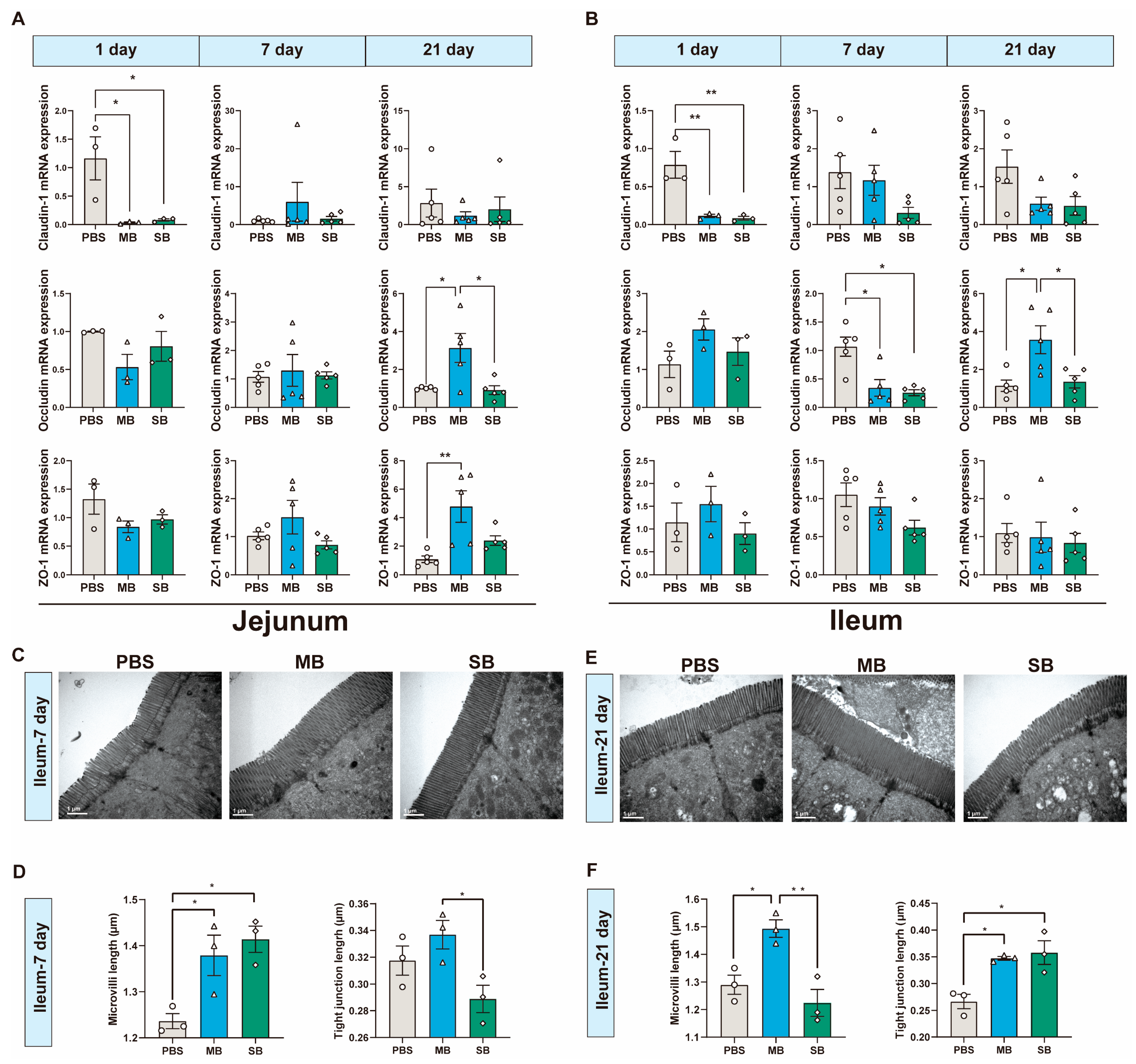 Nutrients 16 02052 g002