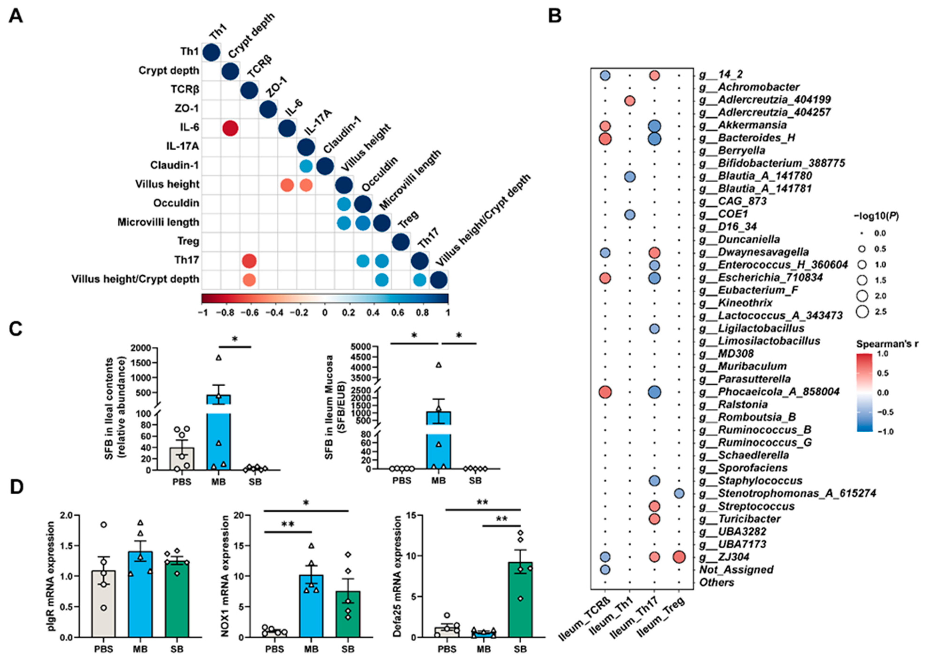 Nutrients 16 02052 g008