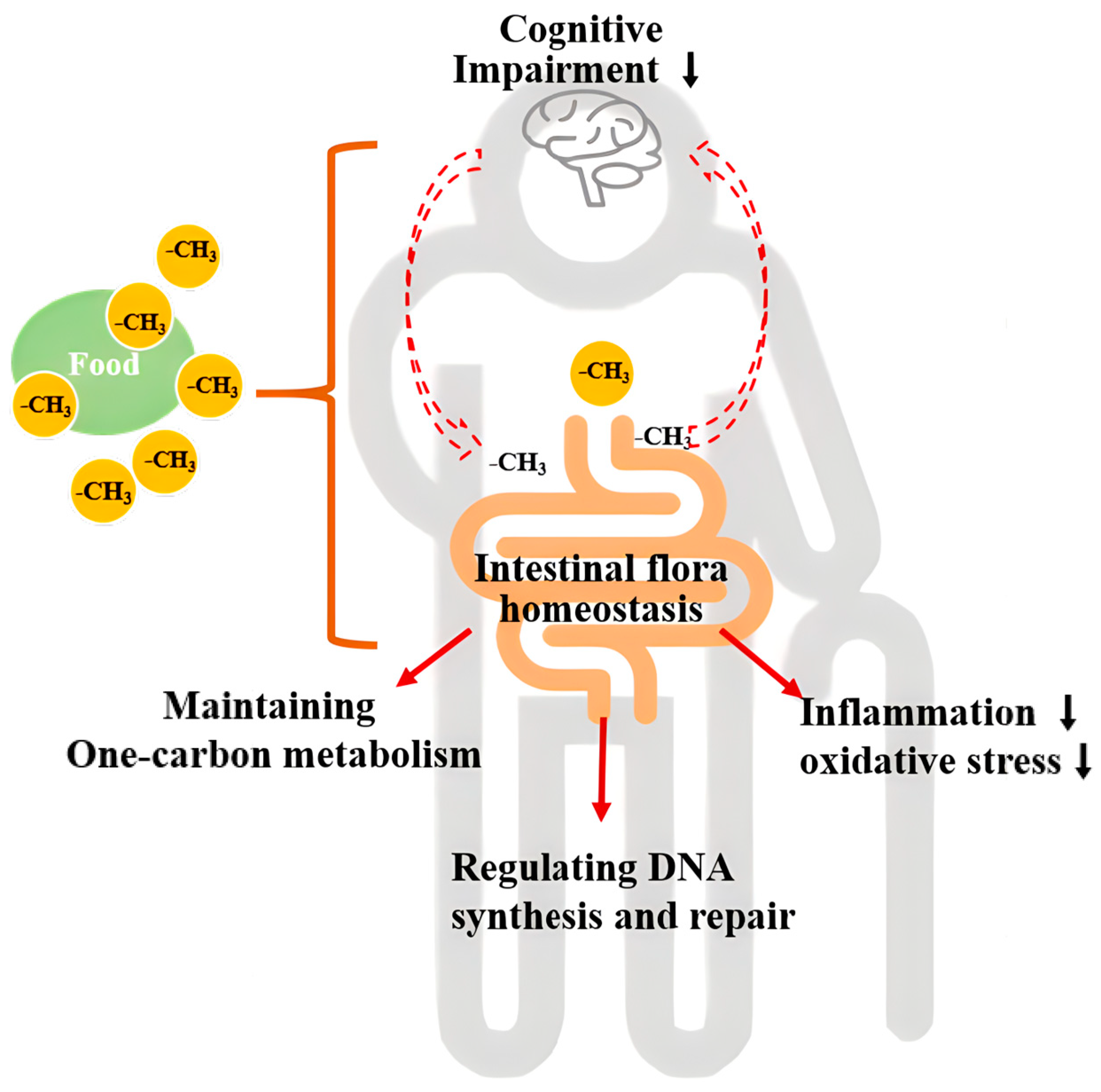 Nutrients 16 02061 g006