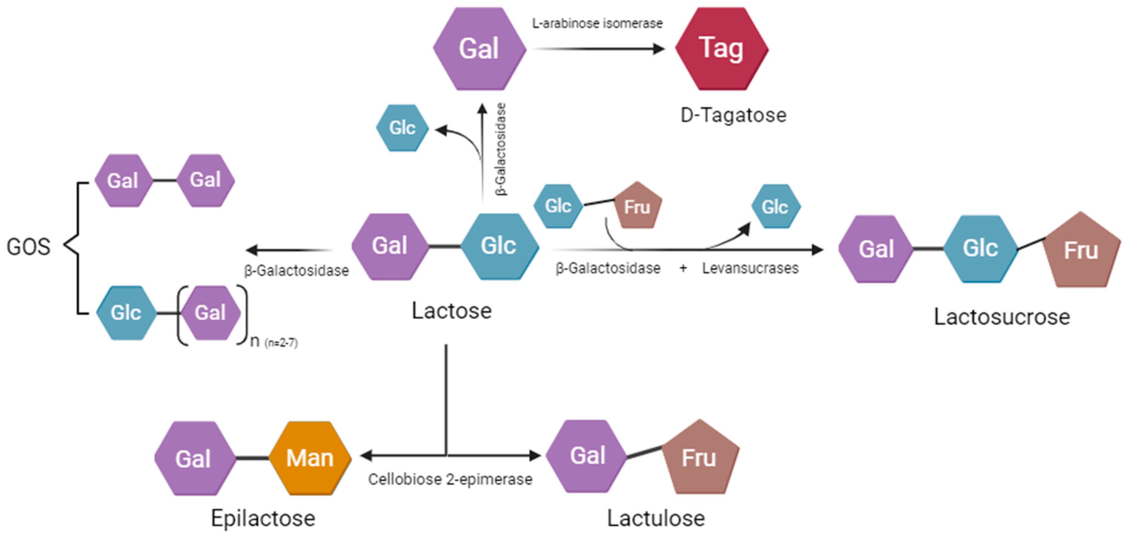 Nutrients 16 02067 g003 Nutrients 16 02067 g003