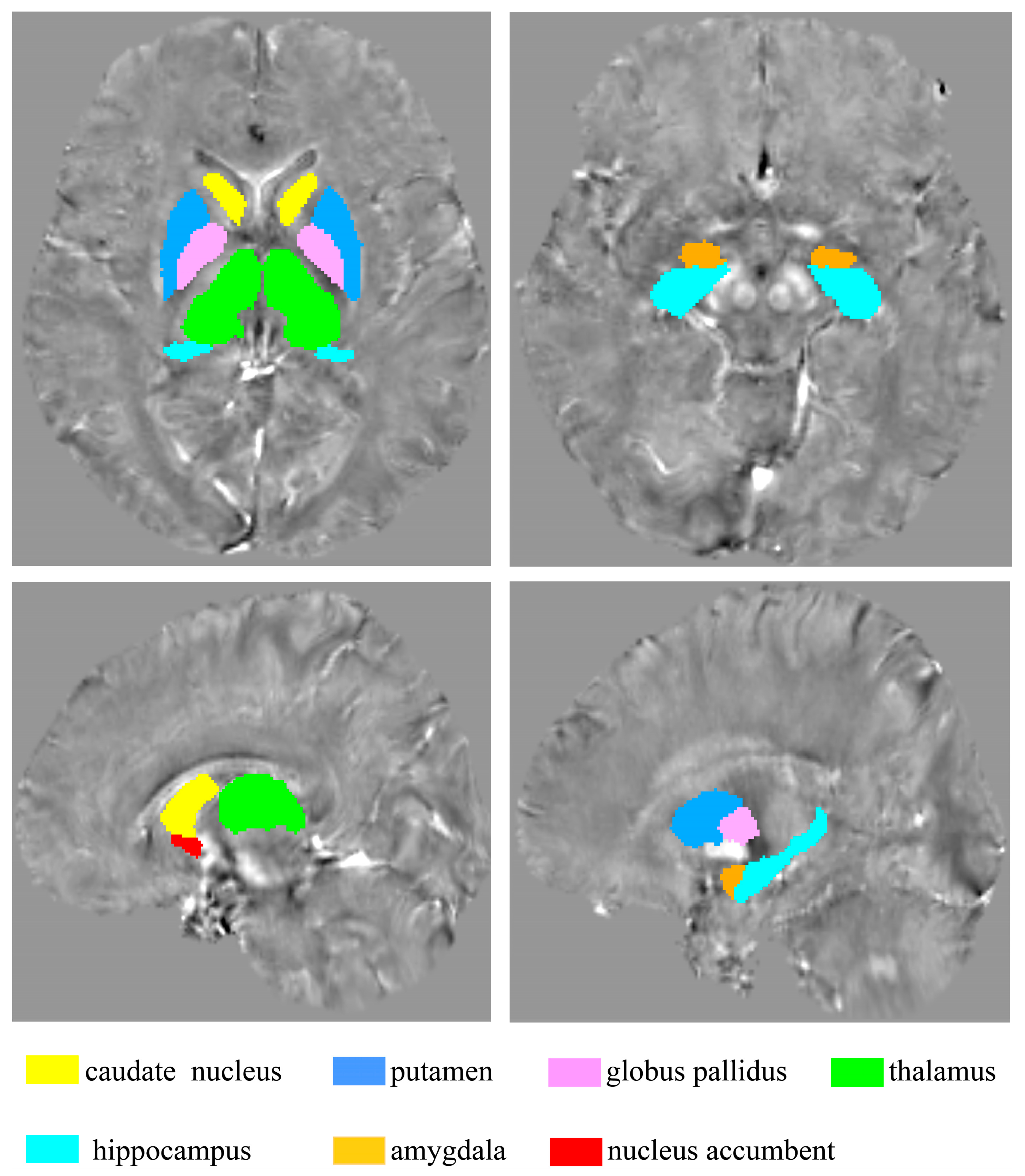 Nutrients 16 02073 g005