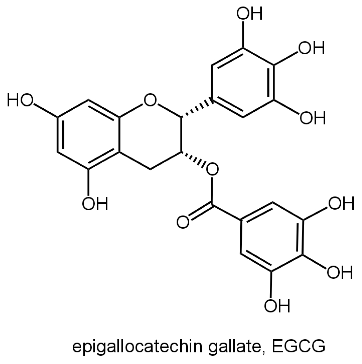 Nutrients 16 02074 g001