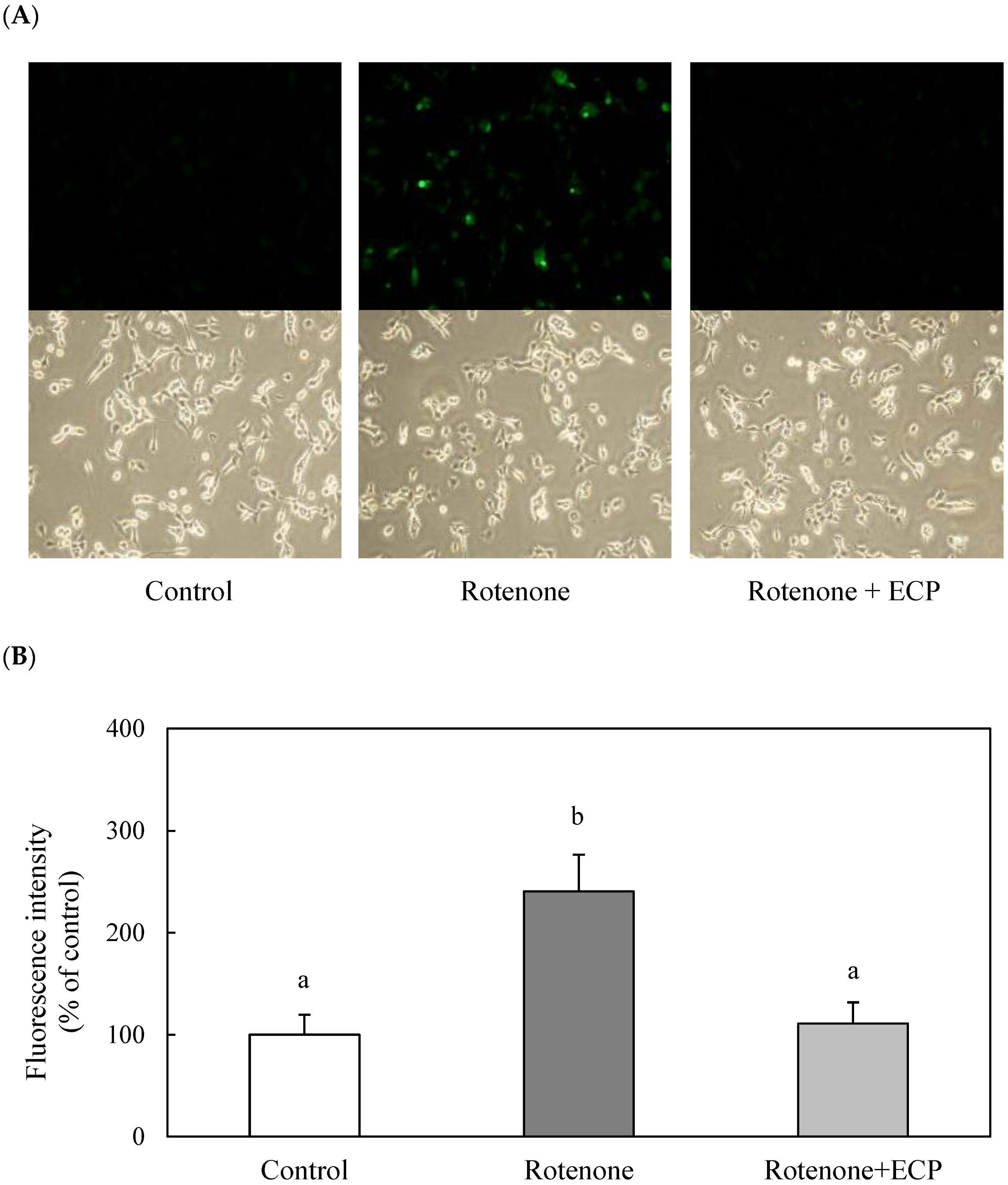 Nutrients 16 02076 g002 Nutrients 16 02076 g002