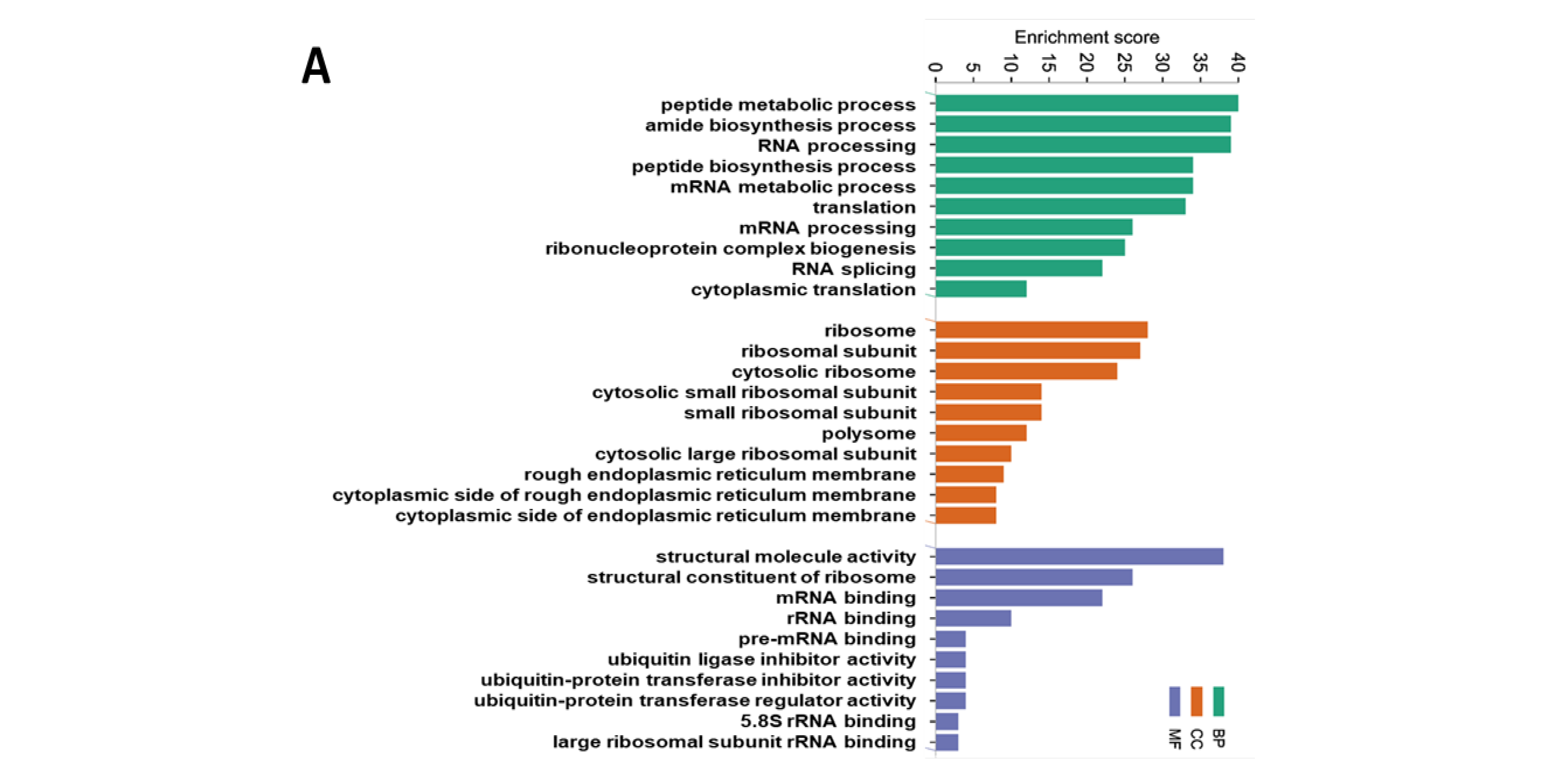 Nutrients 16 02083 g005a Nutrients 16 02083 g005a