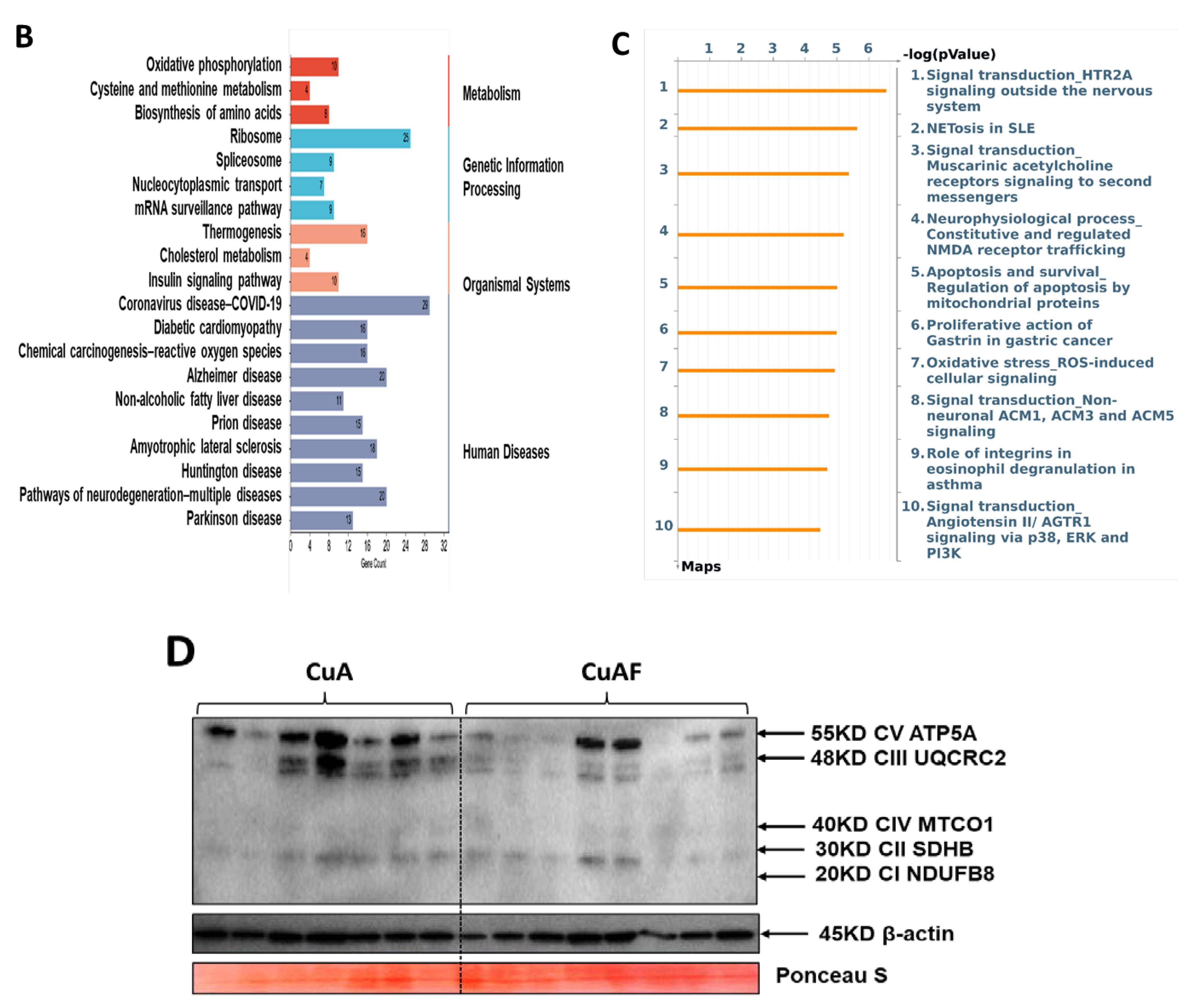 Nutrients 16 02083 g005b Nutrients 16 02083 g005b