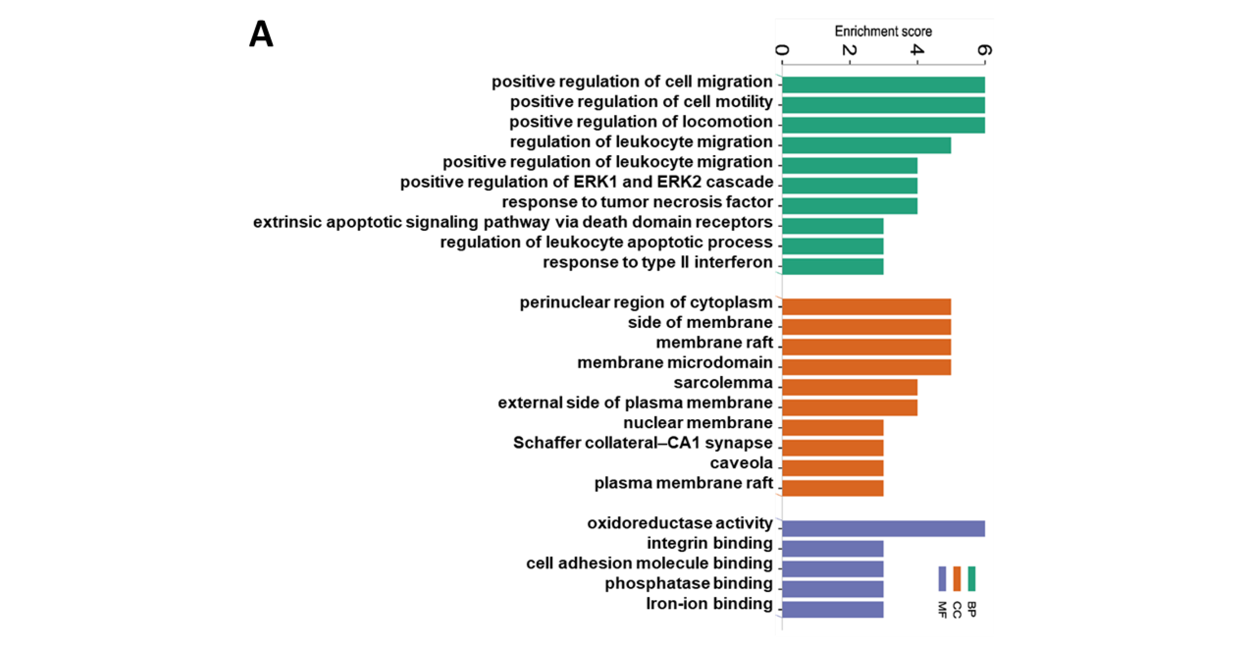 Nutrients 16 02083 g006a Nutrients 16 02083 g006a