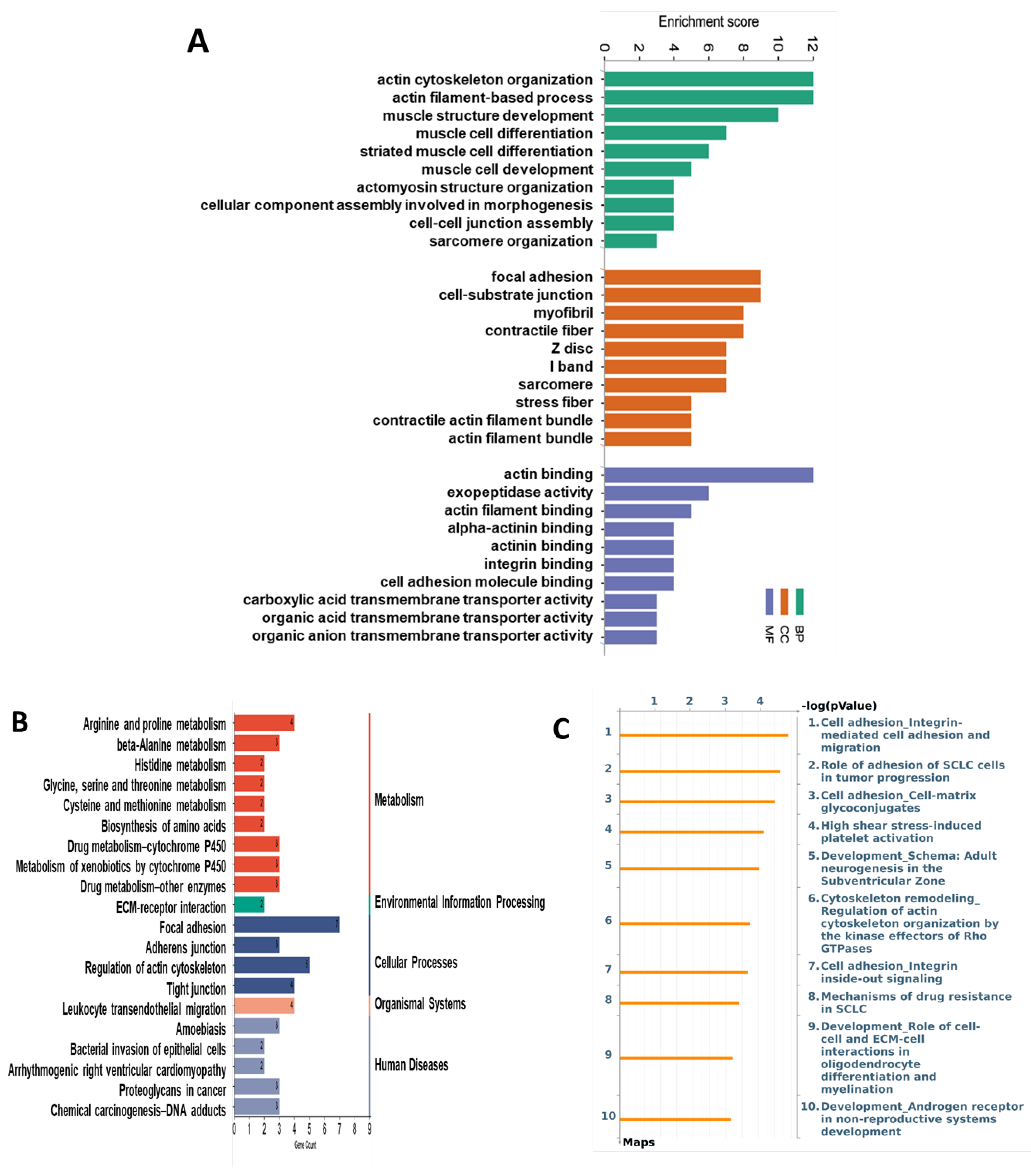 Nutrients 16 02083 g007 Nutrients 16 02083 g007