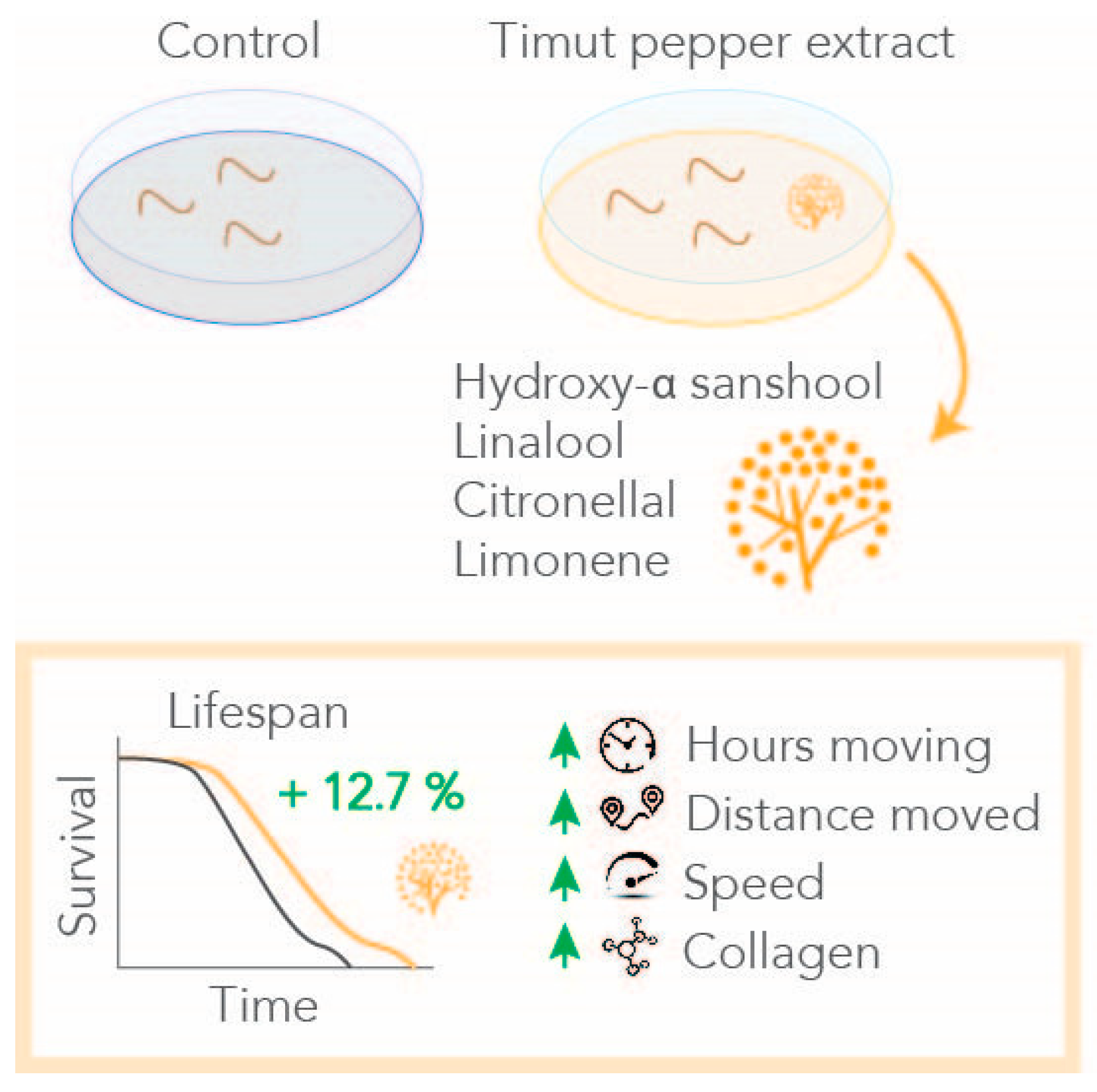 Nutrients 16 02122 g005