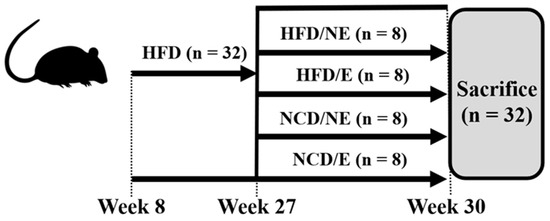 Nutrients 16 02129 g0a1