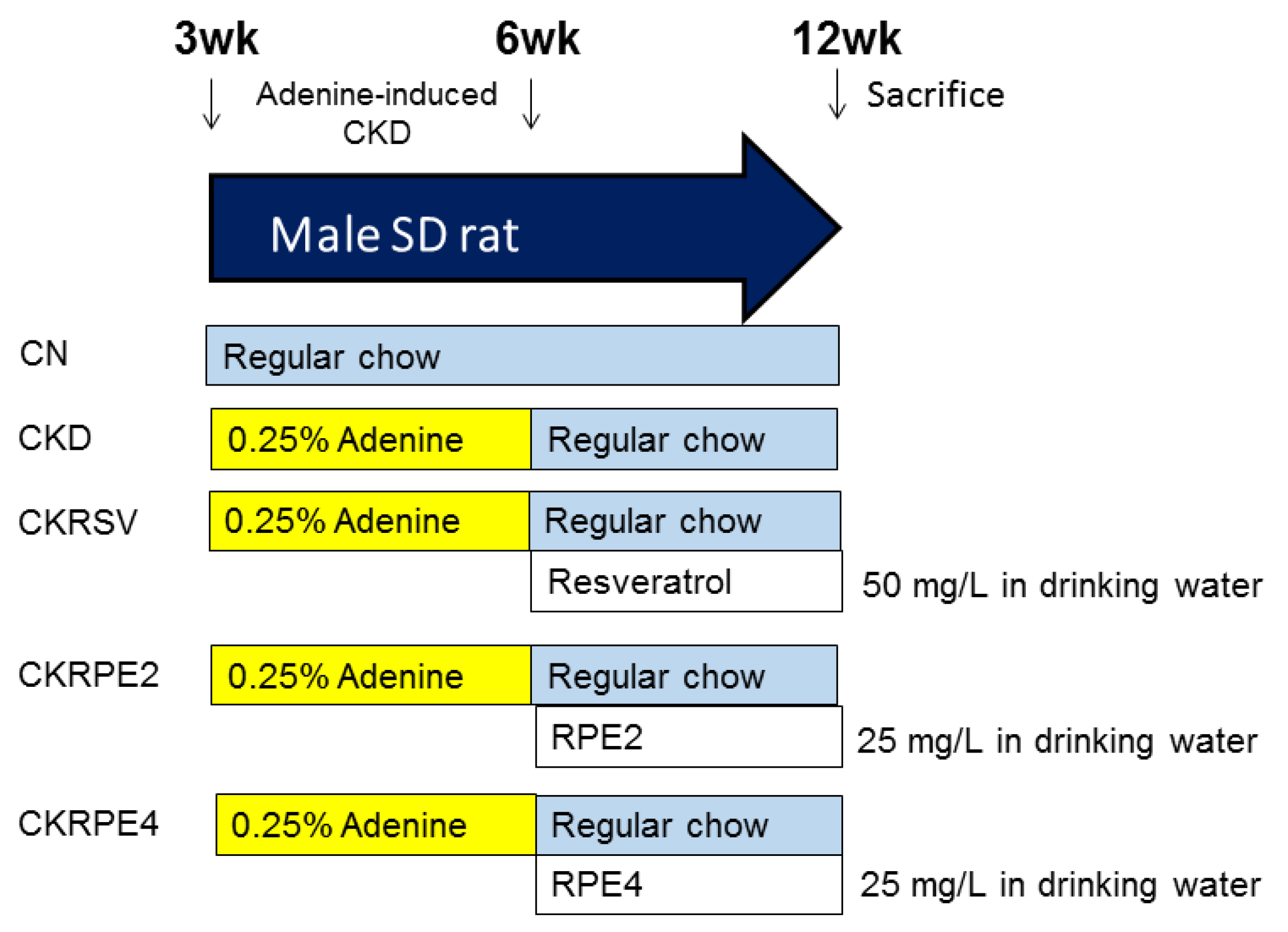Nutrients 16 02131 g002