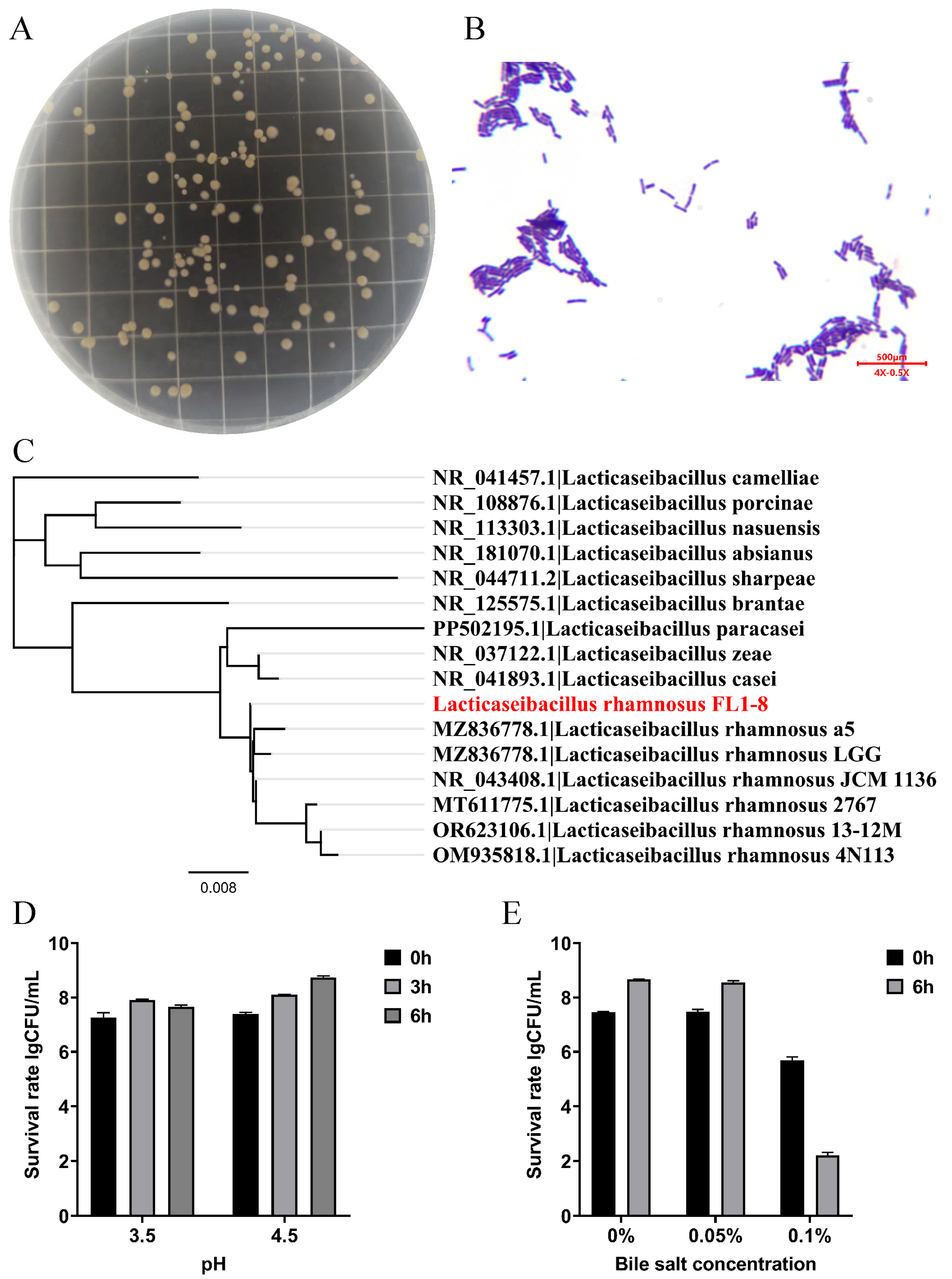 Nutrients 16 02139 g001