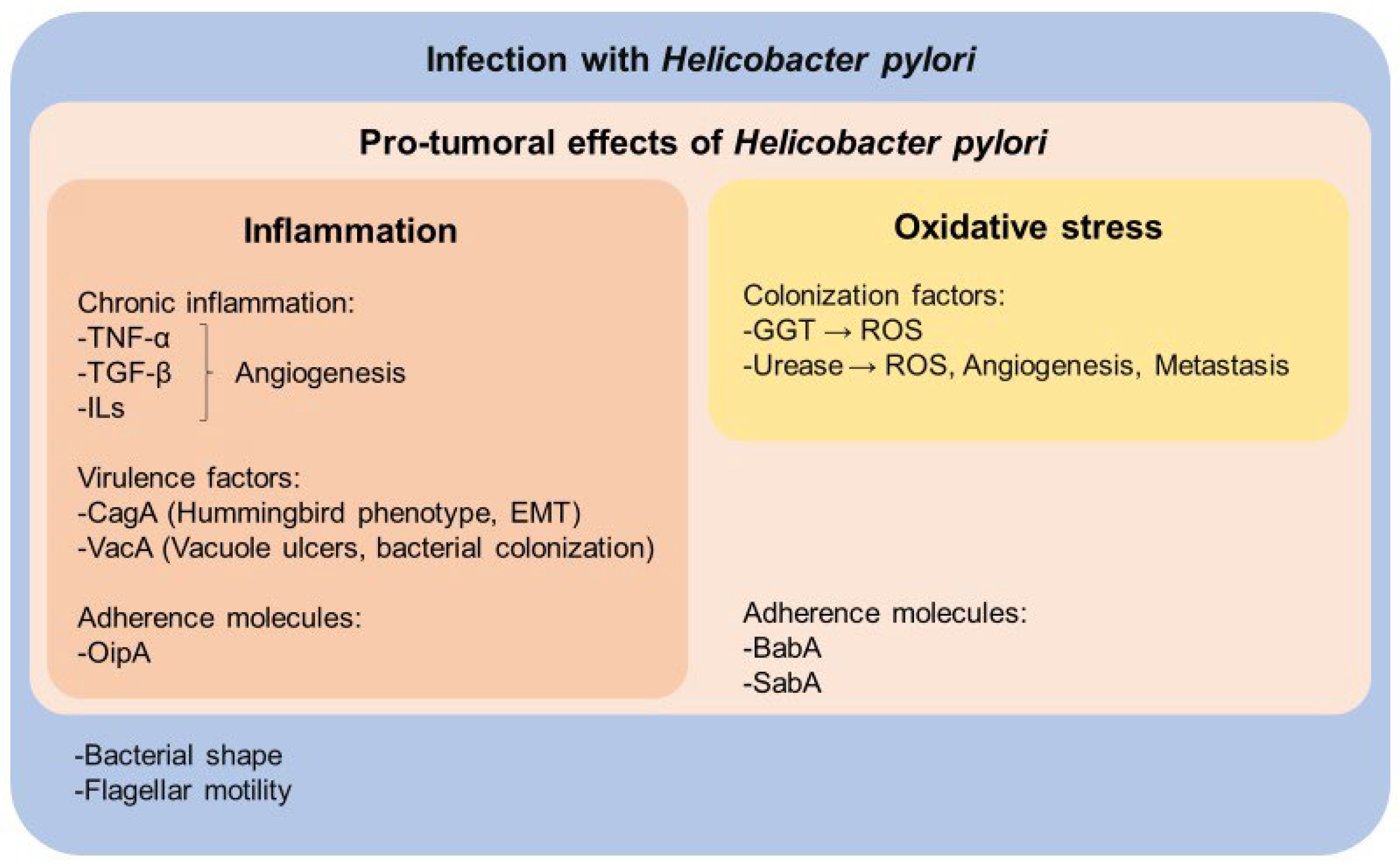 Nutrients 16 02141 g001