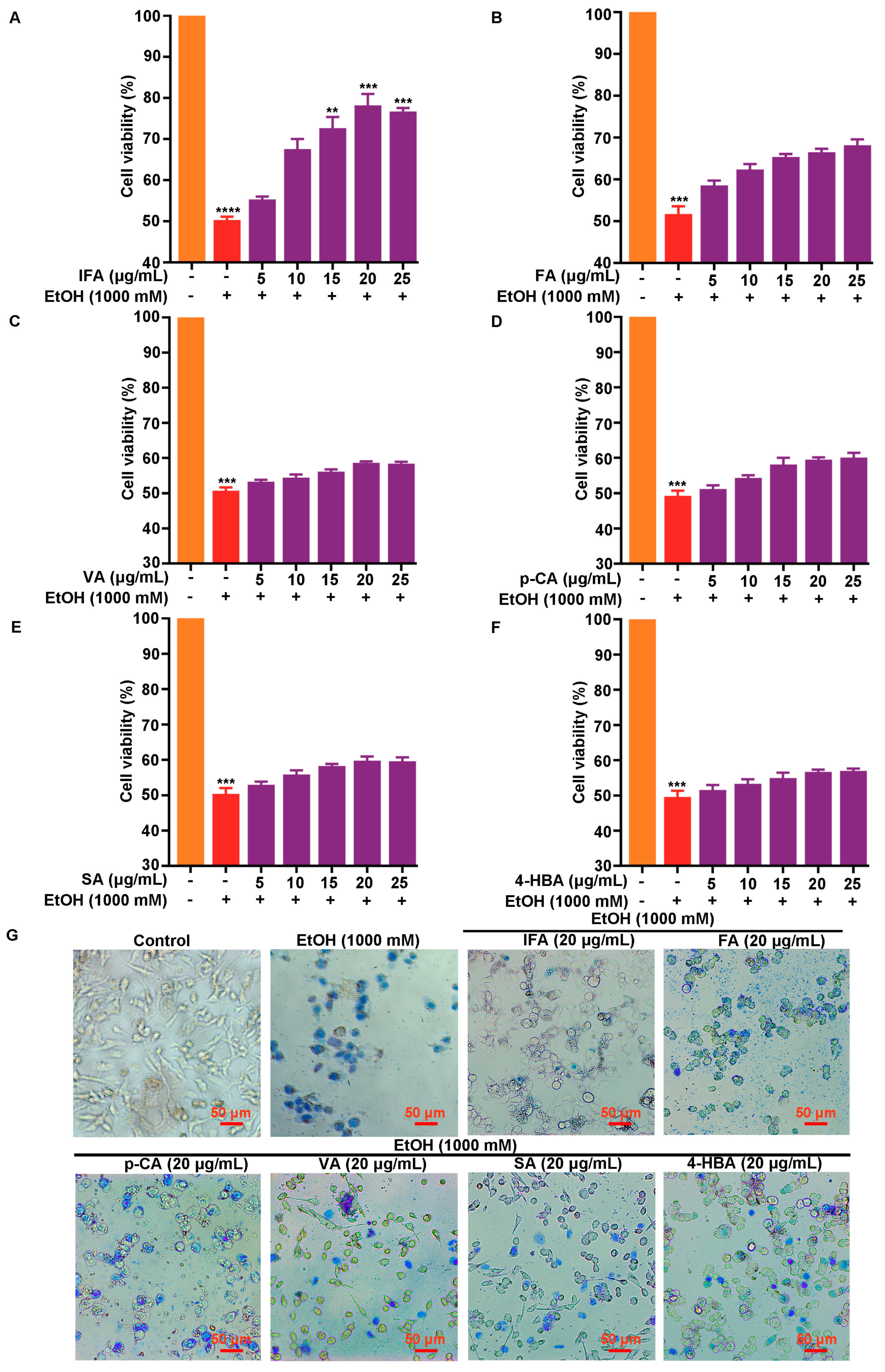 Nutrients 16 02148 g002