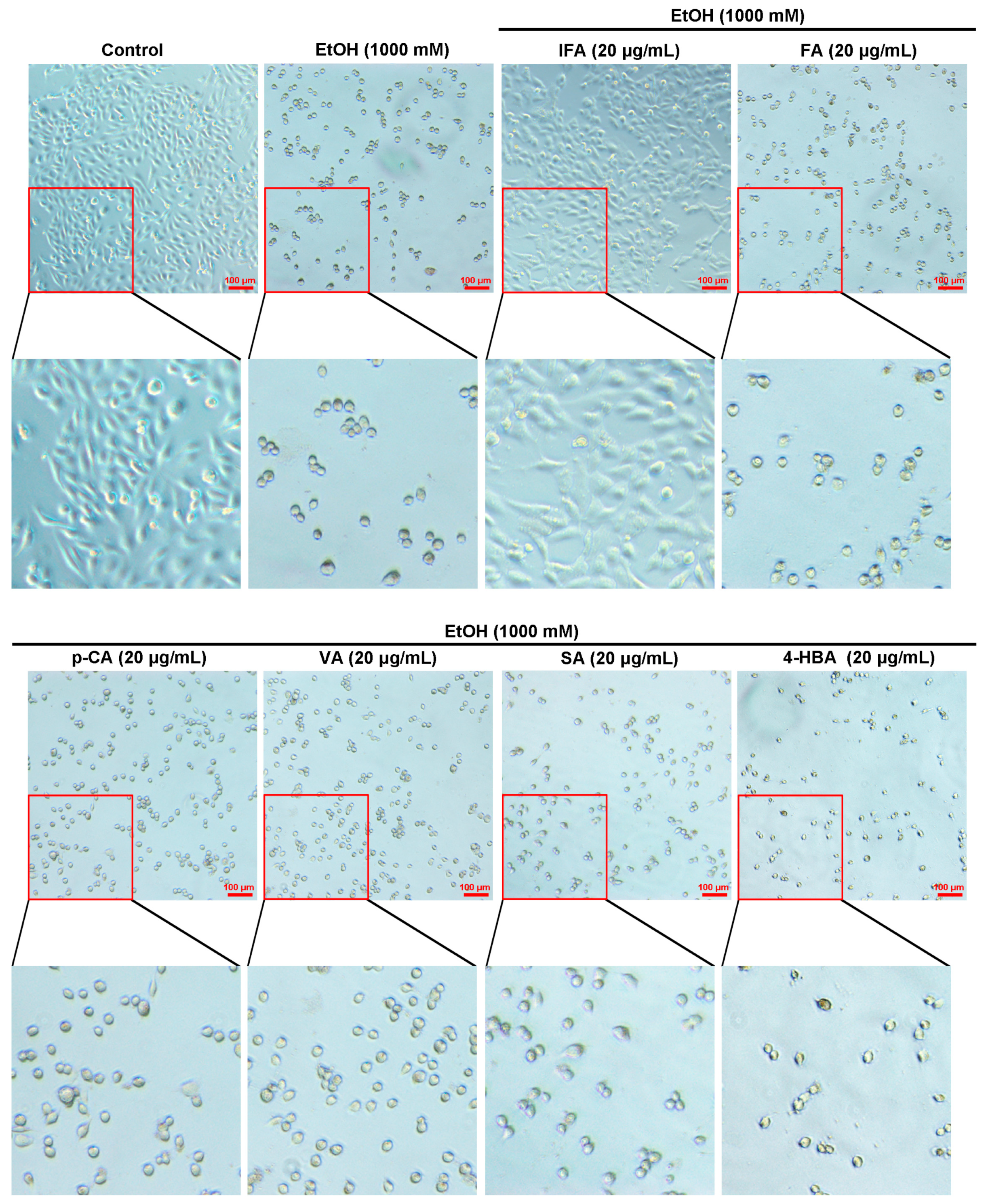 Nutrients 16 02148 g003