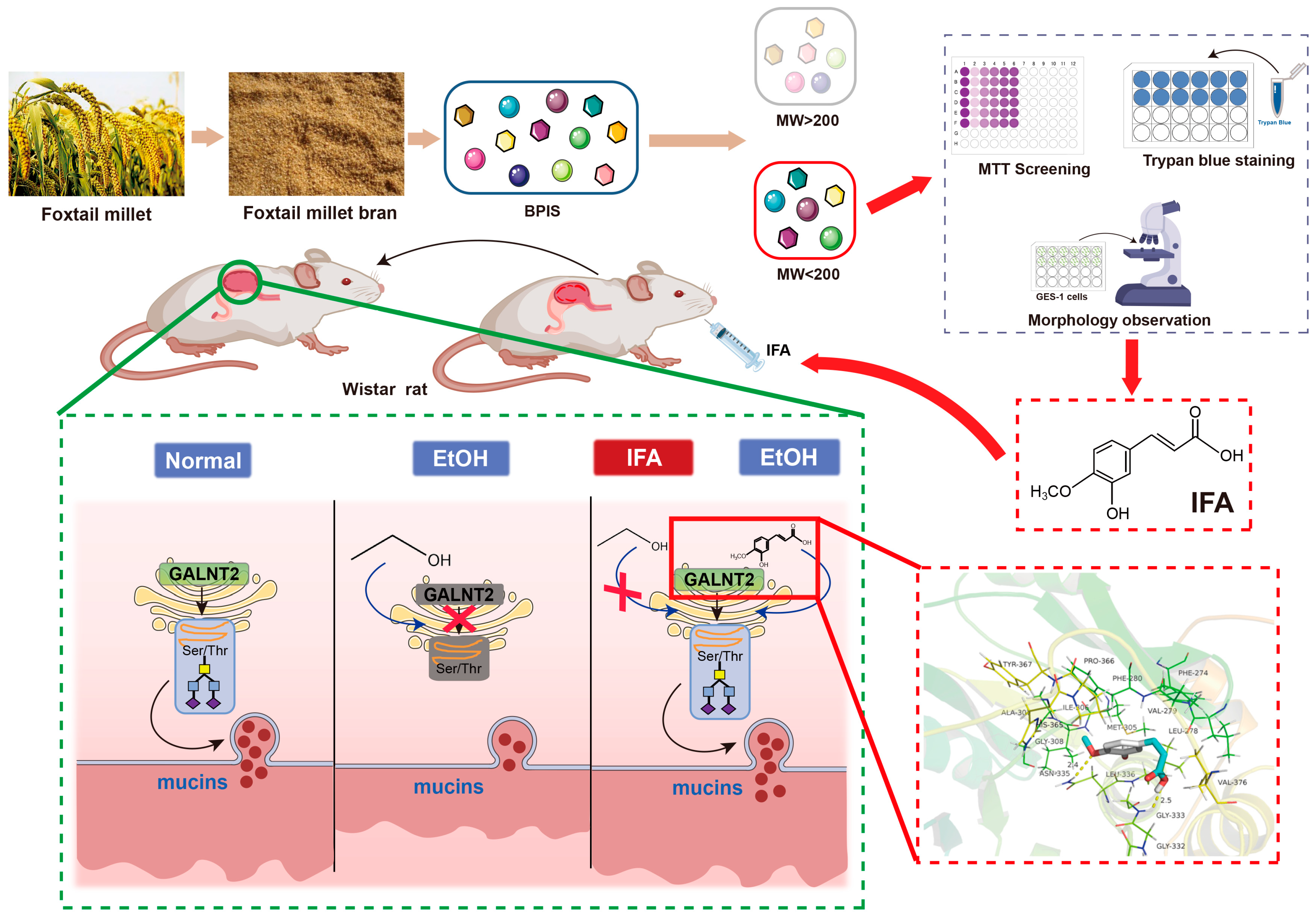 Nutrients 16 02148 g007