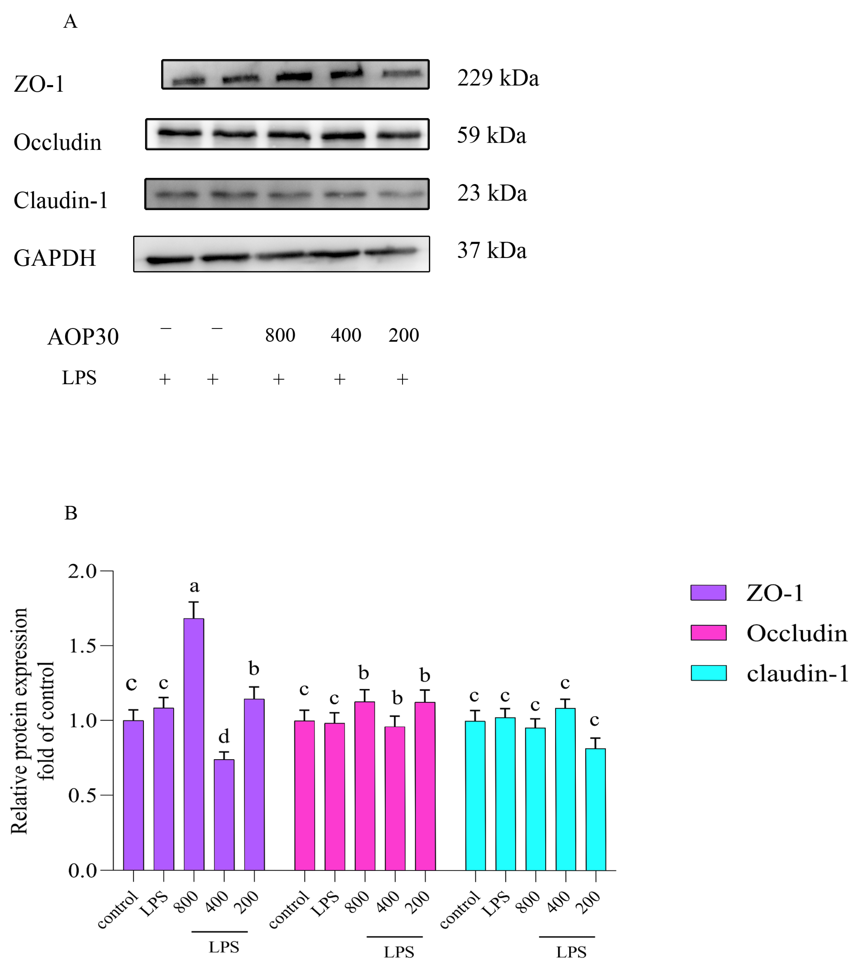 Nutrients 16 02151 g005