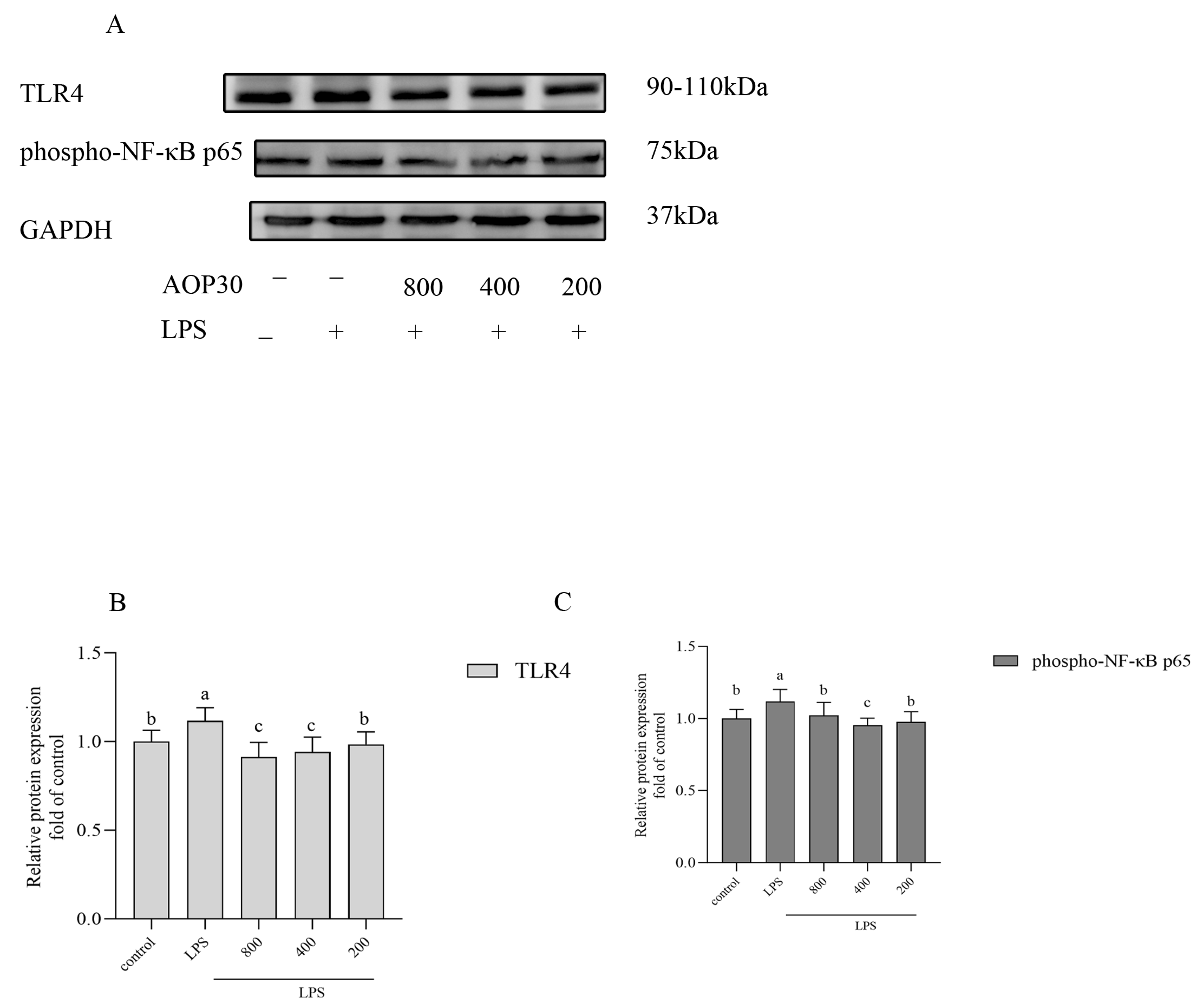 Nutrients 16 02151 g007