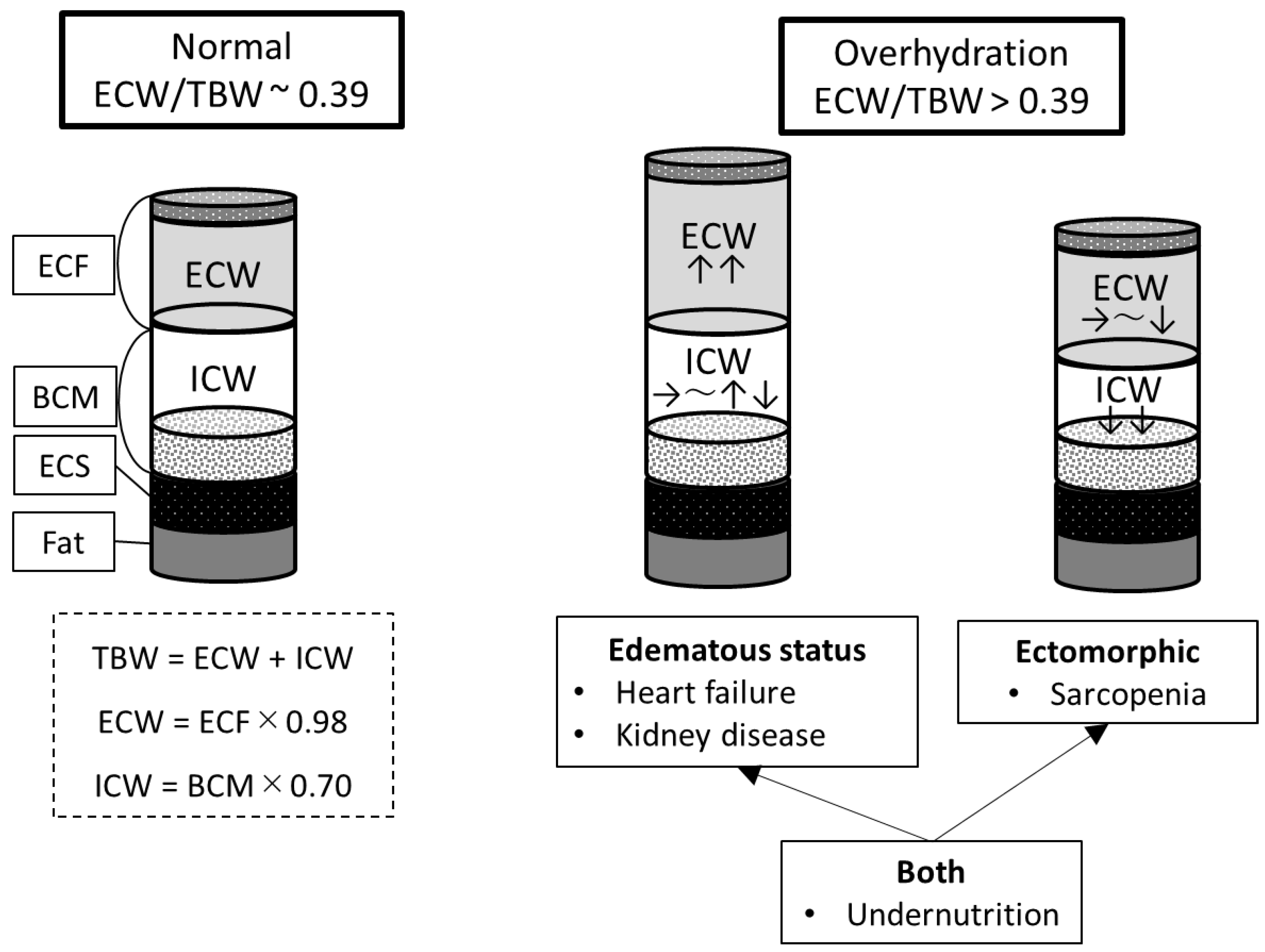 Nutrients 16 02165 g003