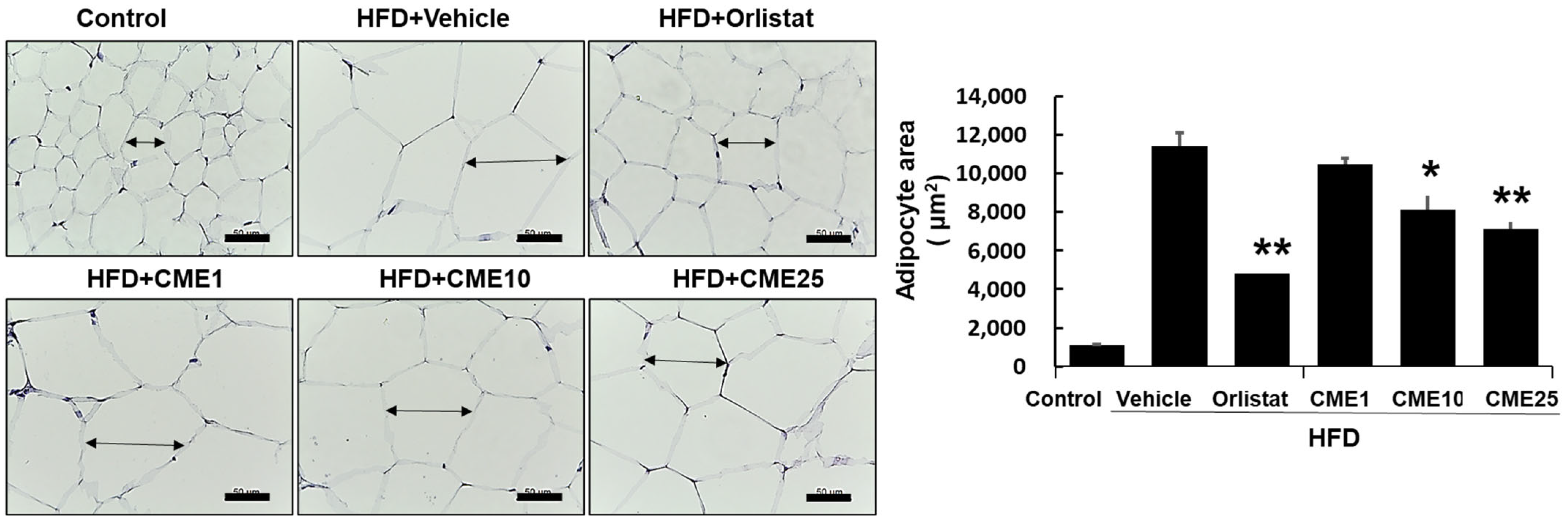 Nutrients 16 02171 g005