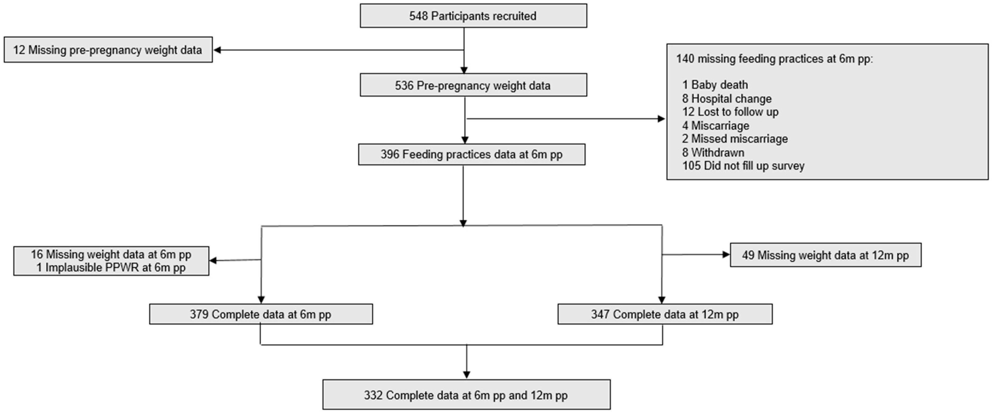 Nutrients 16 02172 g001