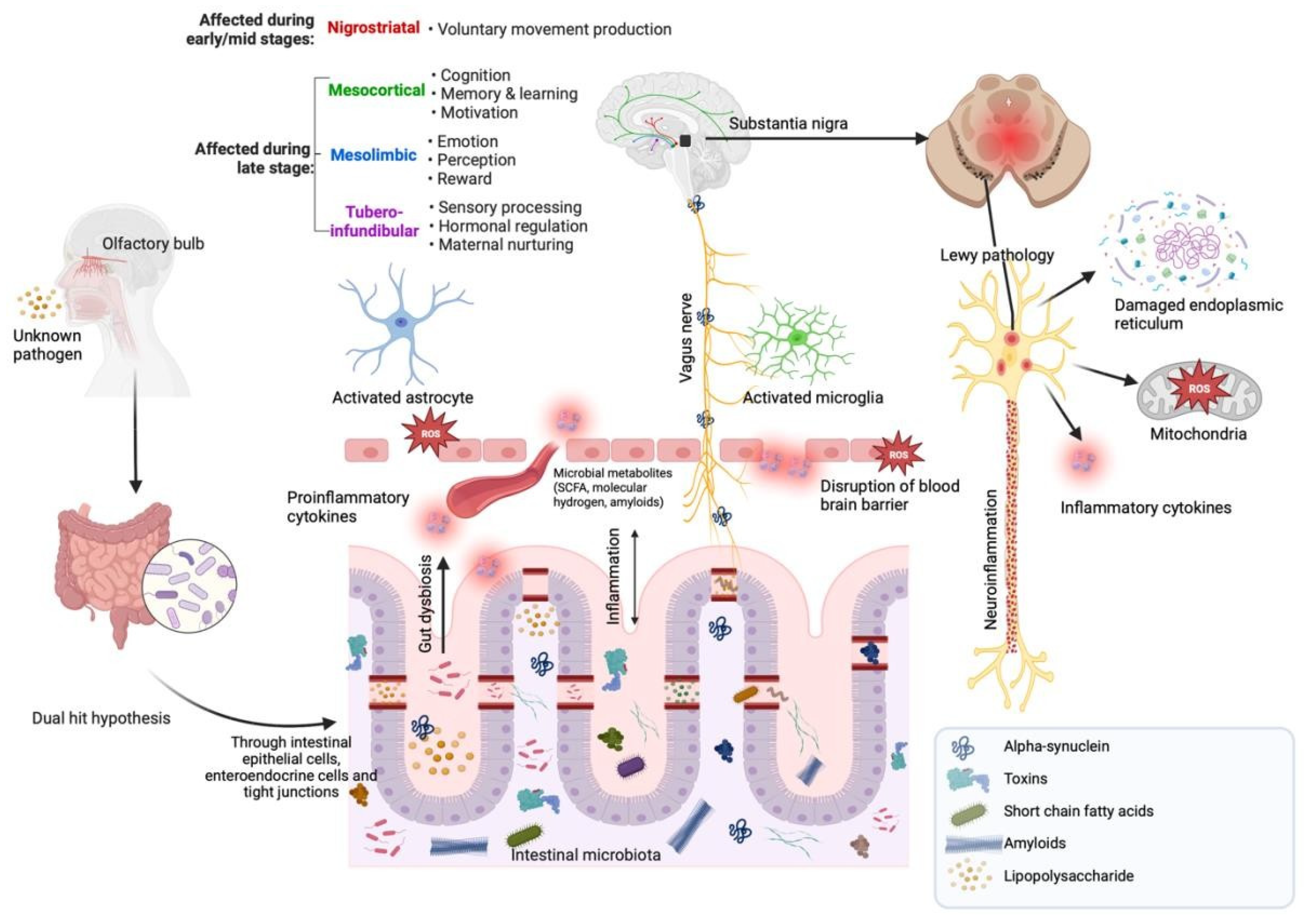 Nutrients 16 02181 g001
