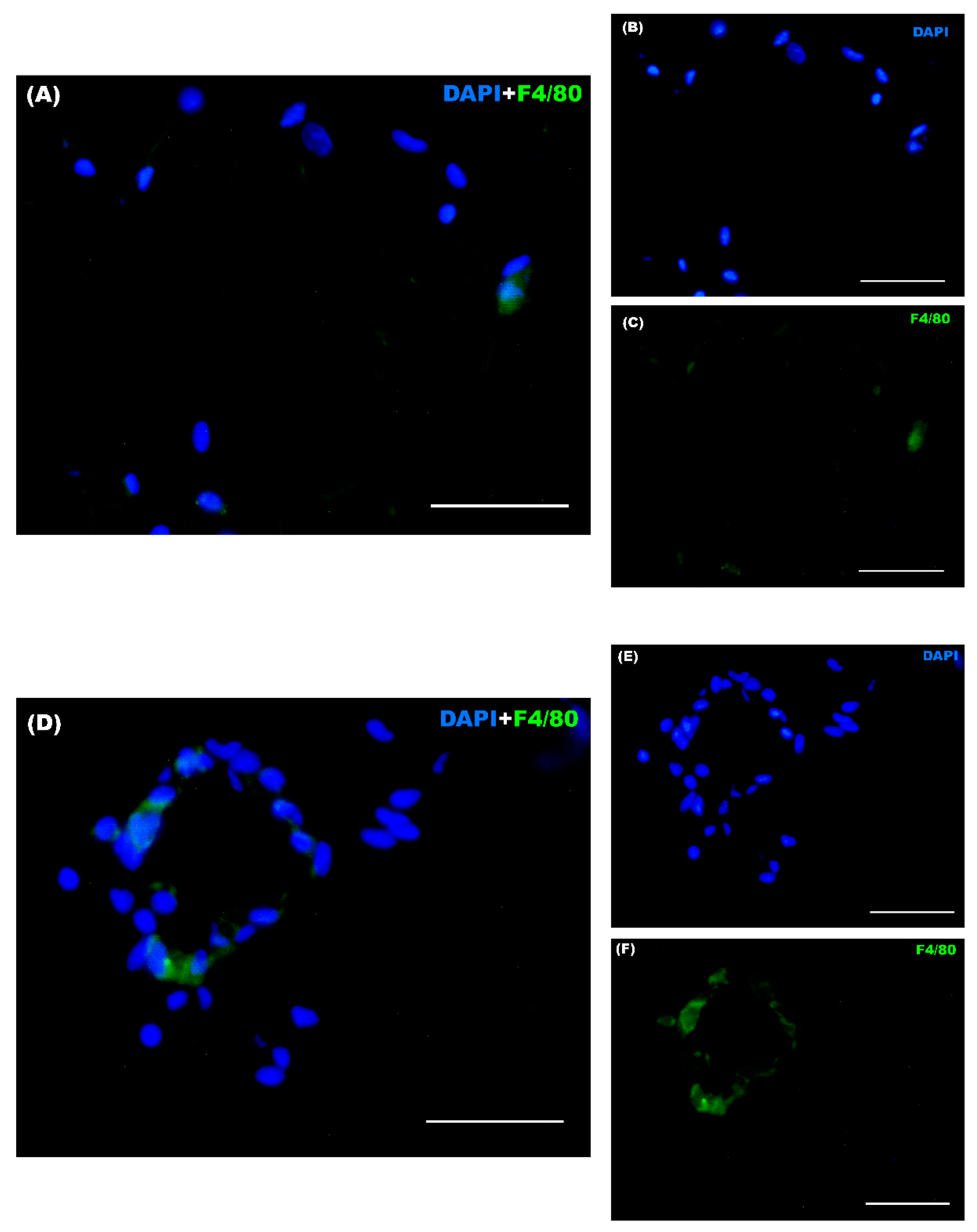 Nutrients 16 02209 g011