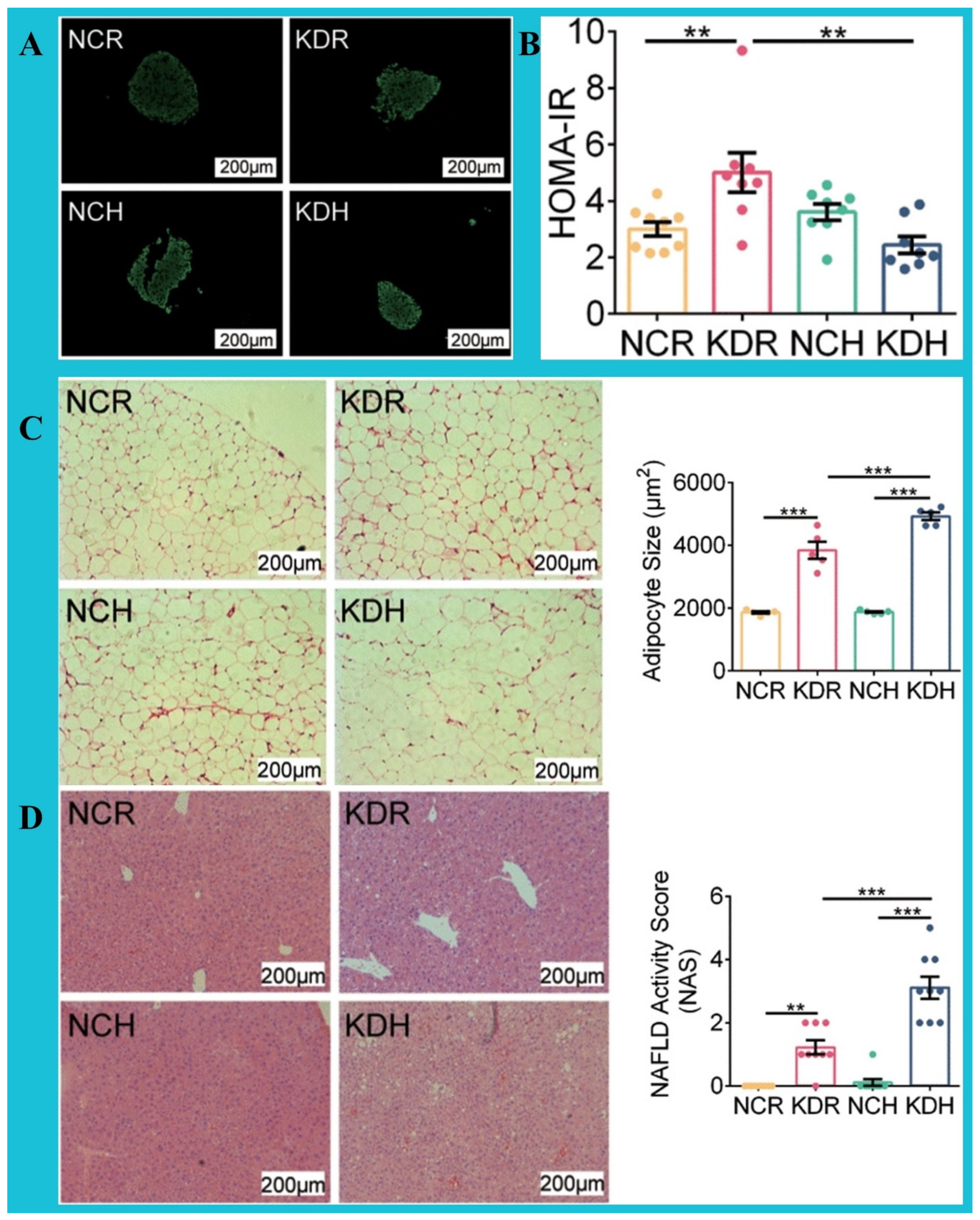 Nutrients 16 02220 g003 Nutrients 16 02220 g003
