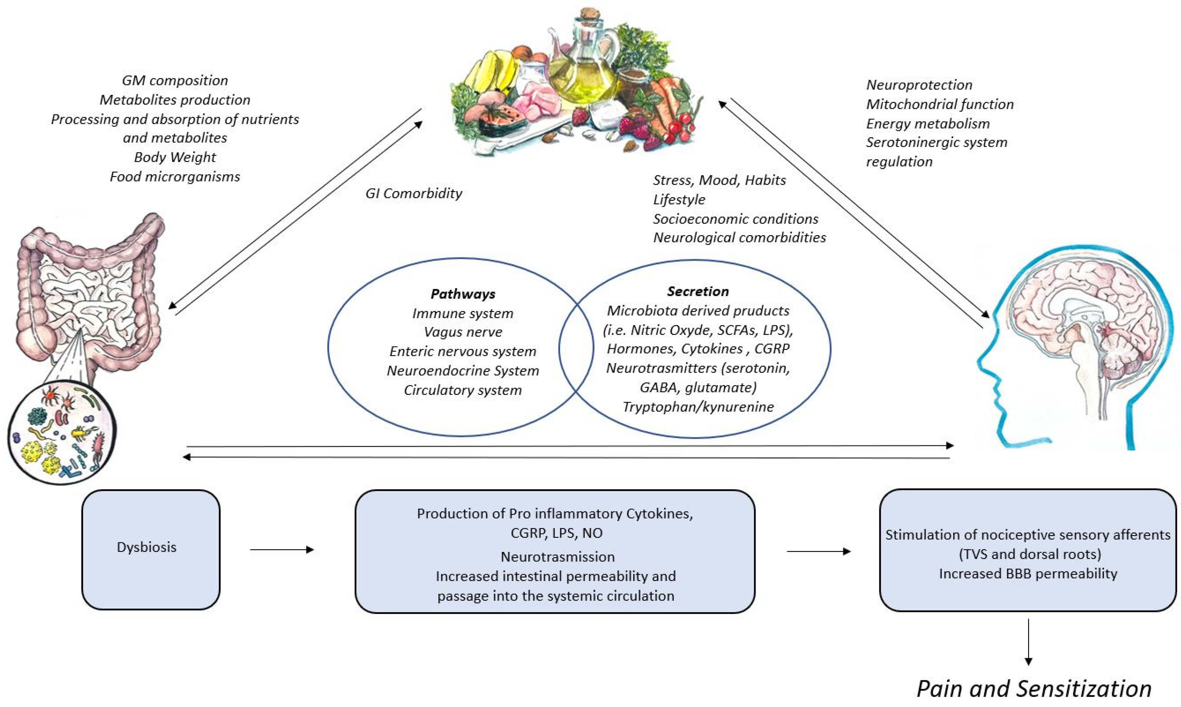Nutrients 16 02222 g001