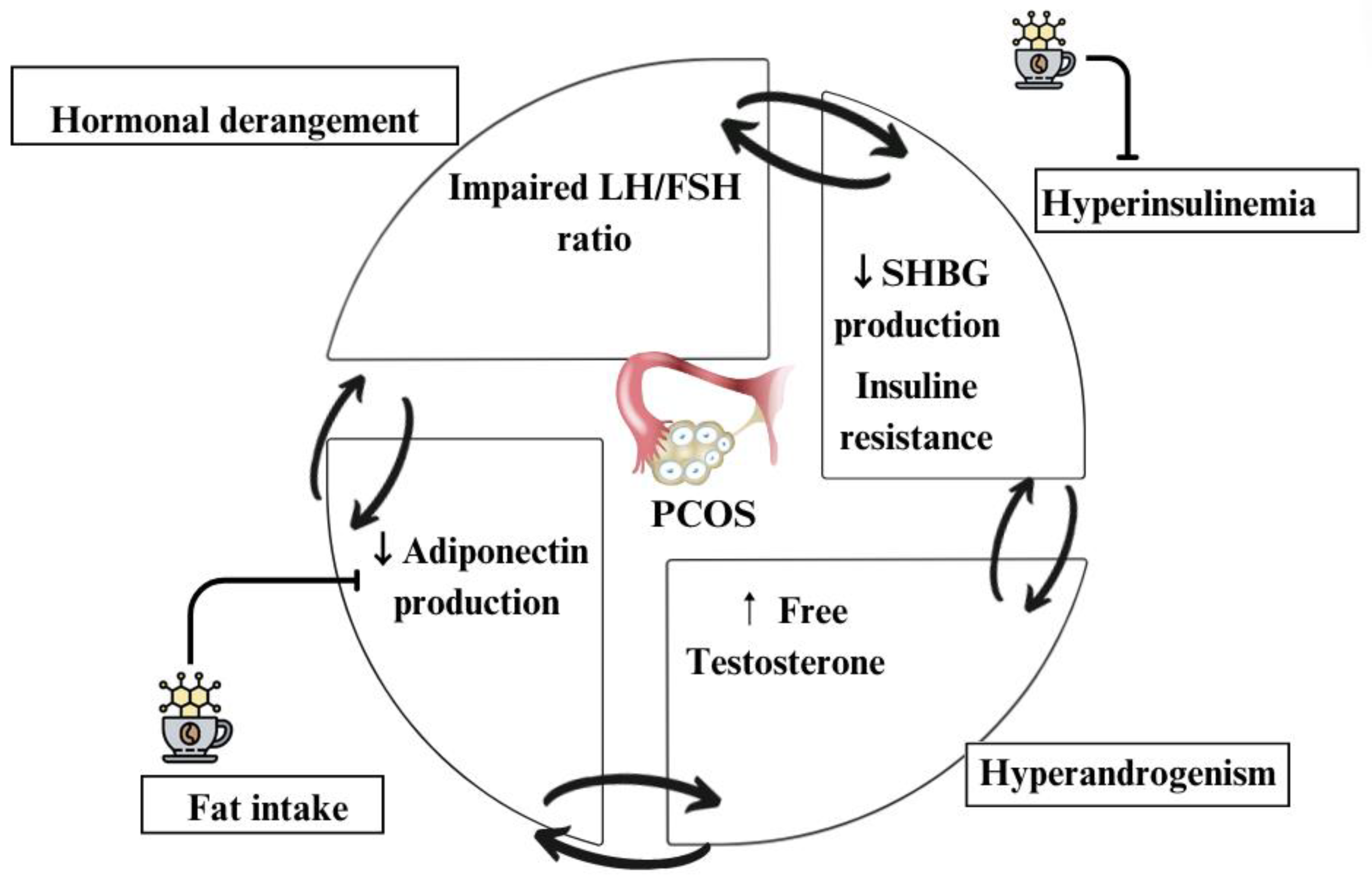 Nutrients 16 02238 g002